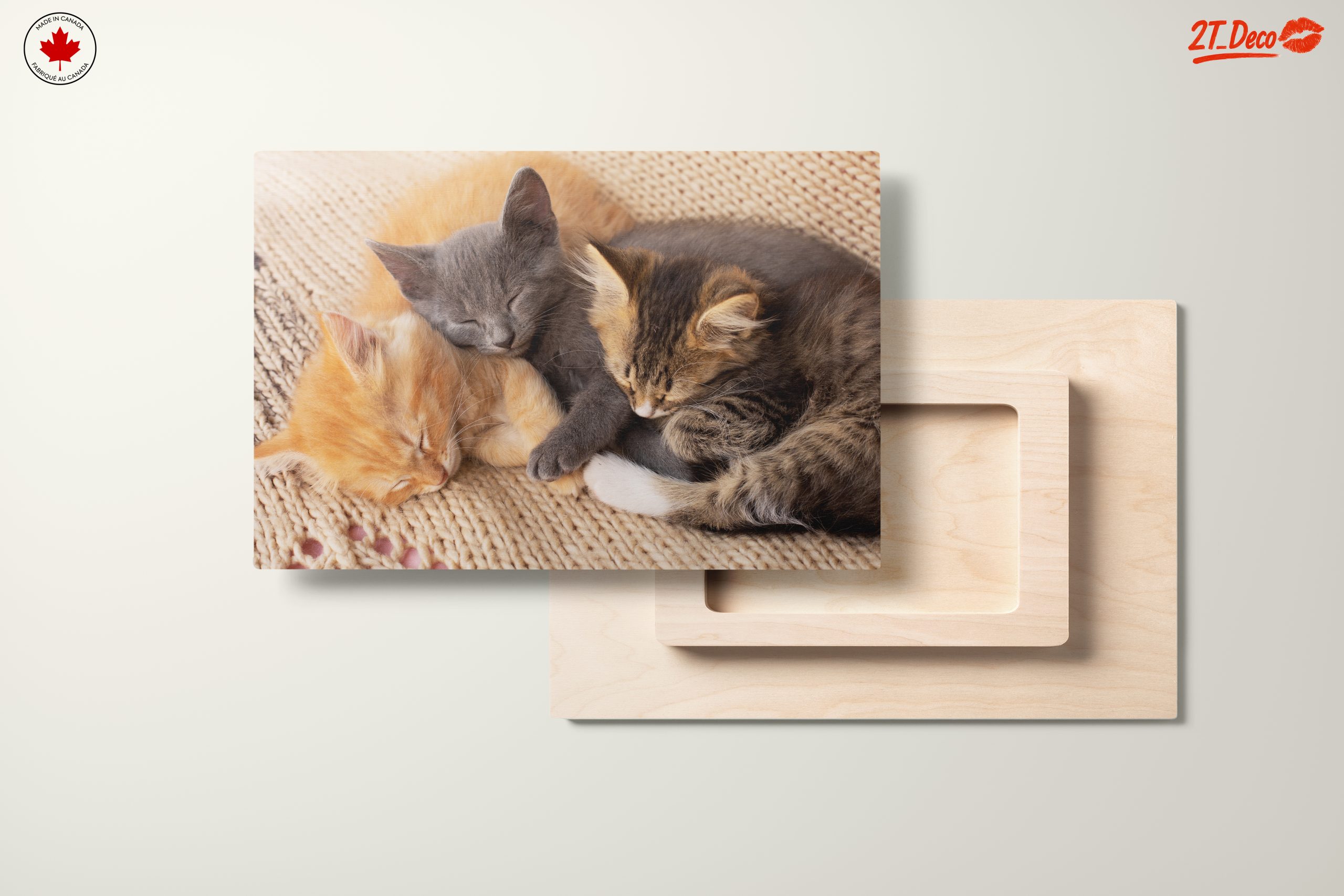 Three Adorable Kittens Sleeping Together - Image 11