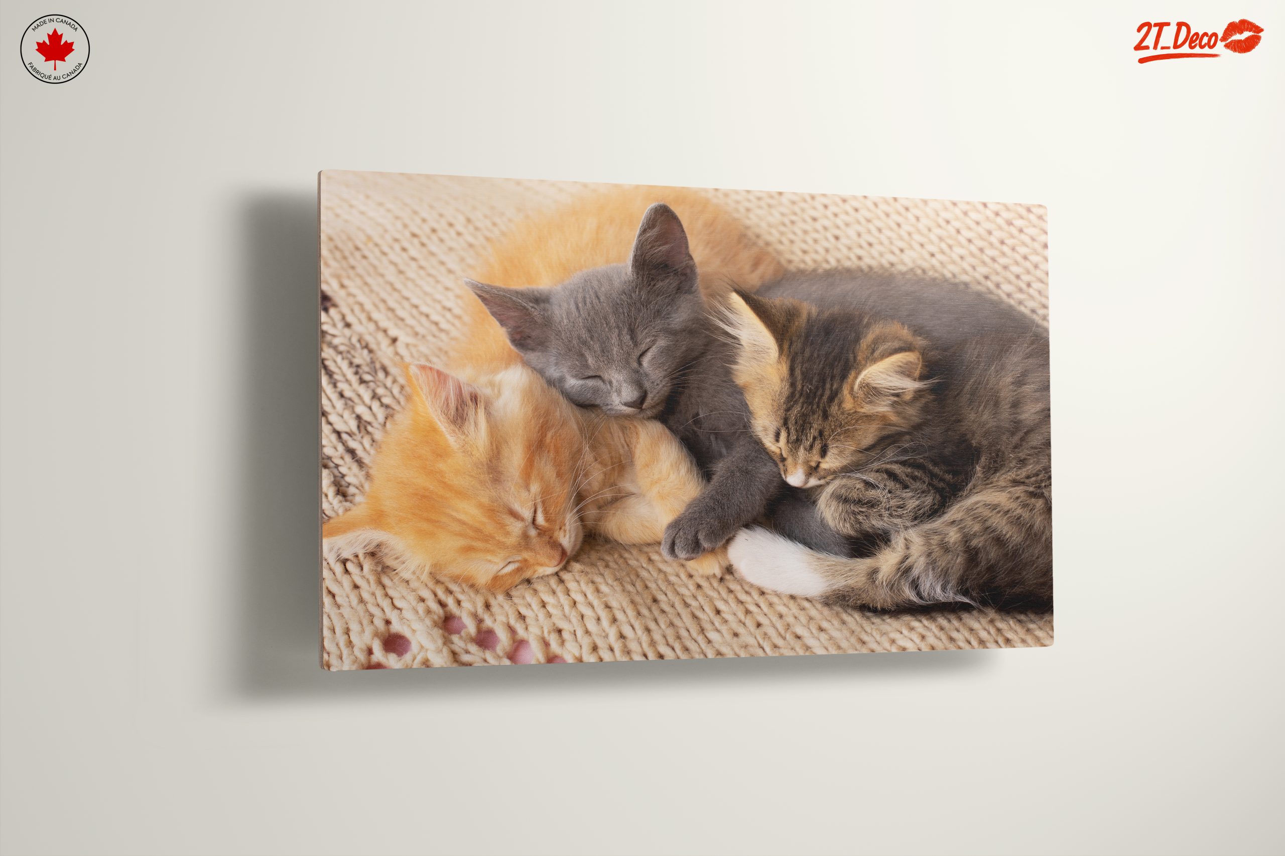 Three Adorable Kittens Sleeping Together - Image 13