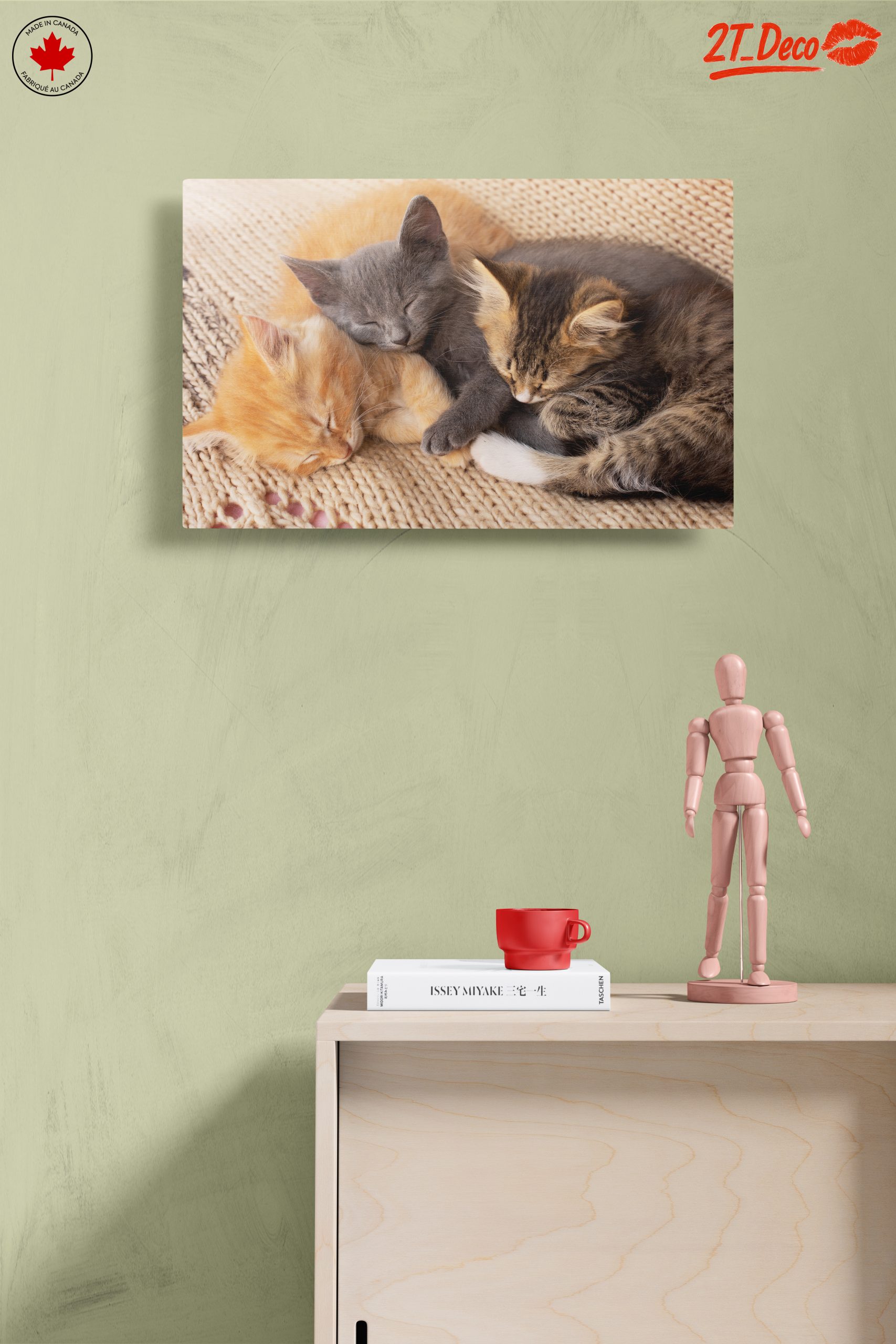 Three Adorable Kittens Sleeping Together - Image 14