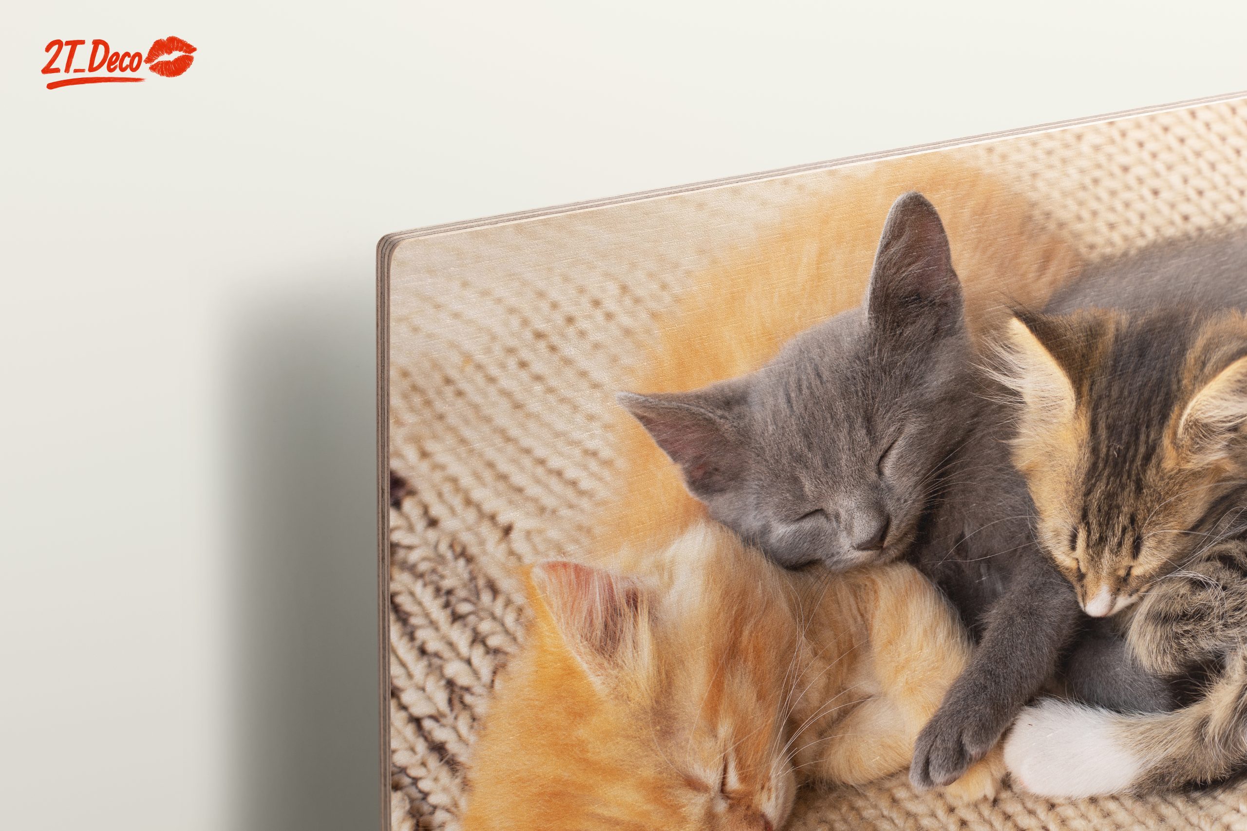 Three Adorable Kittens Sleeping Together - Image 15