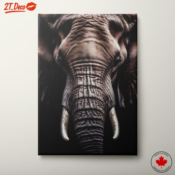 Close-Up Elephant Portrait