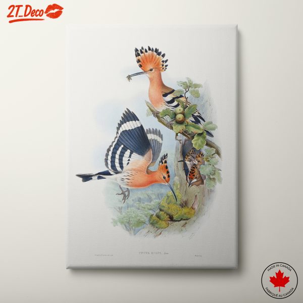 Colorful Birds in Natural Habitat Artwork