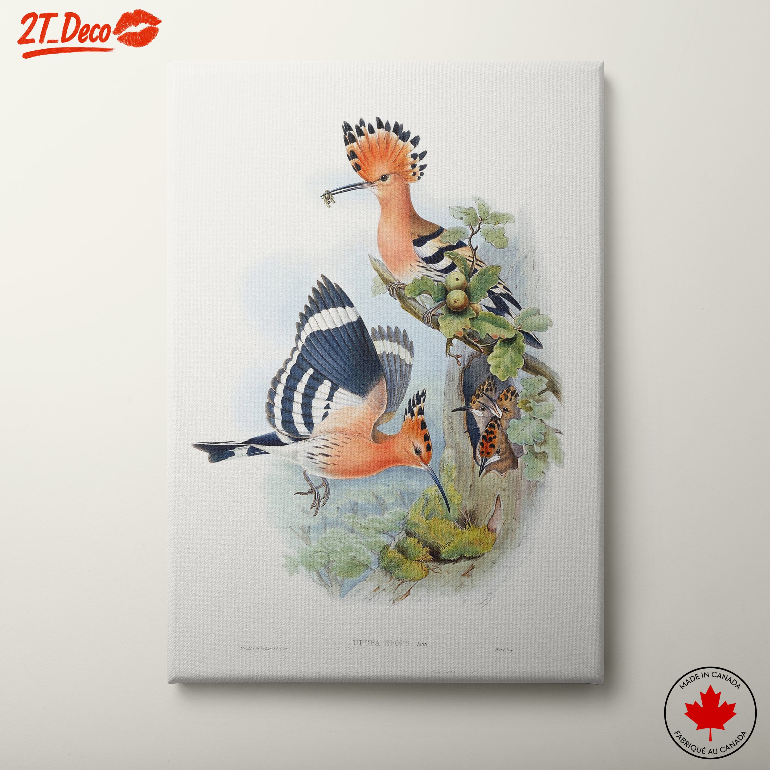 Colorful Birds in Natural Habitat Artwork