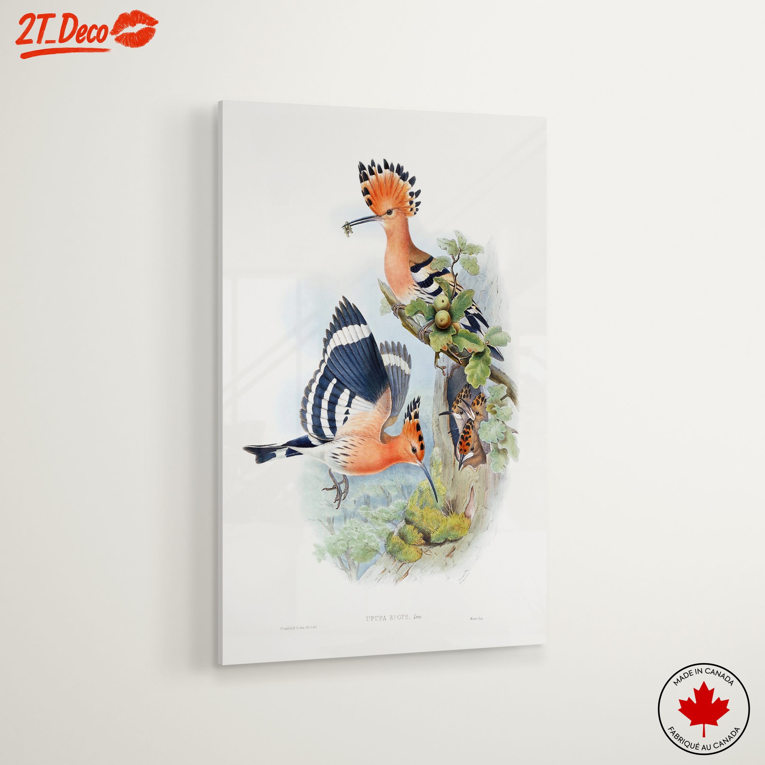 Colorful Birds in Natural Habitat Artwork - Image 6