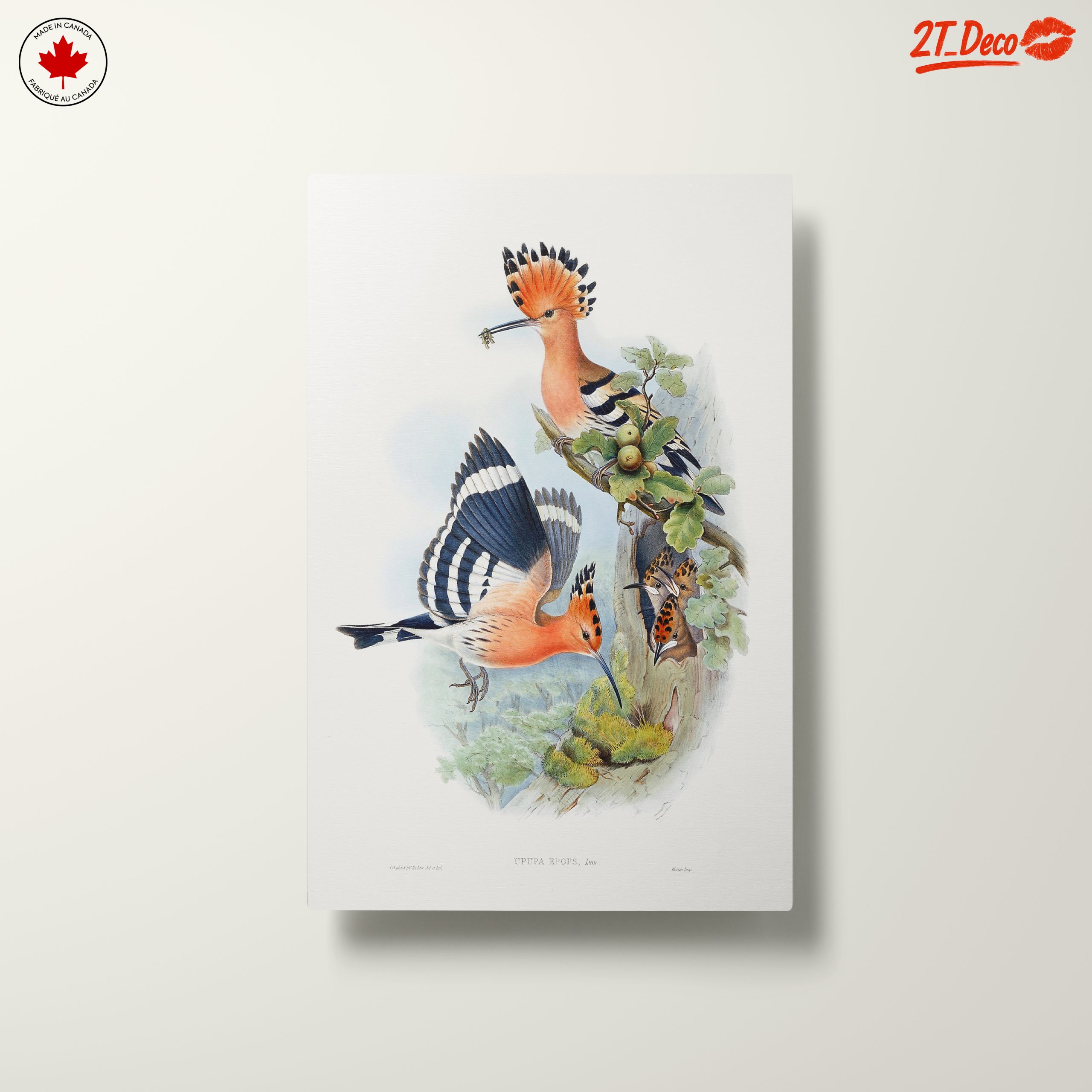 Colorful Birds in Natural Habitat Artwork - Image 10