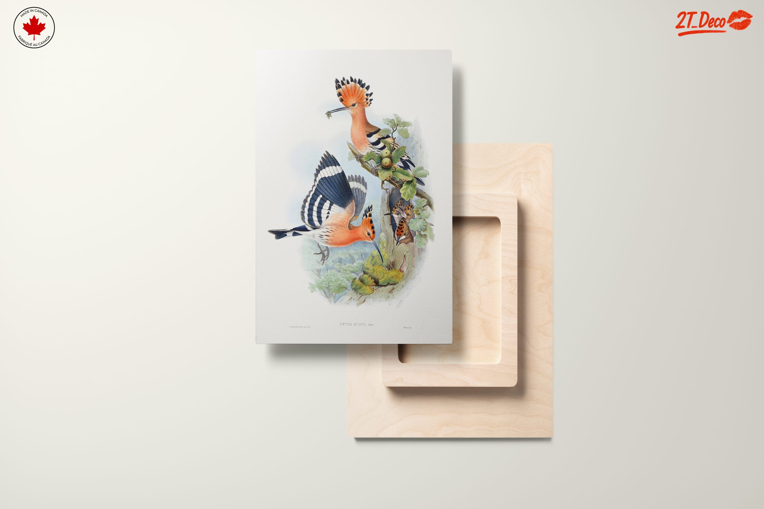 Colorful Birds in Natural Habitat Artwork - Image 11