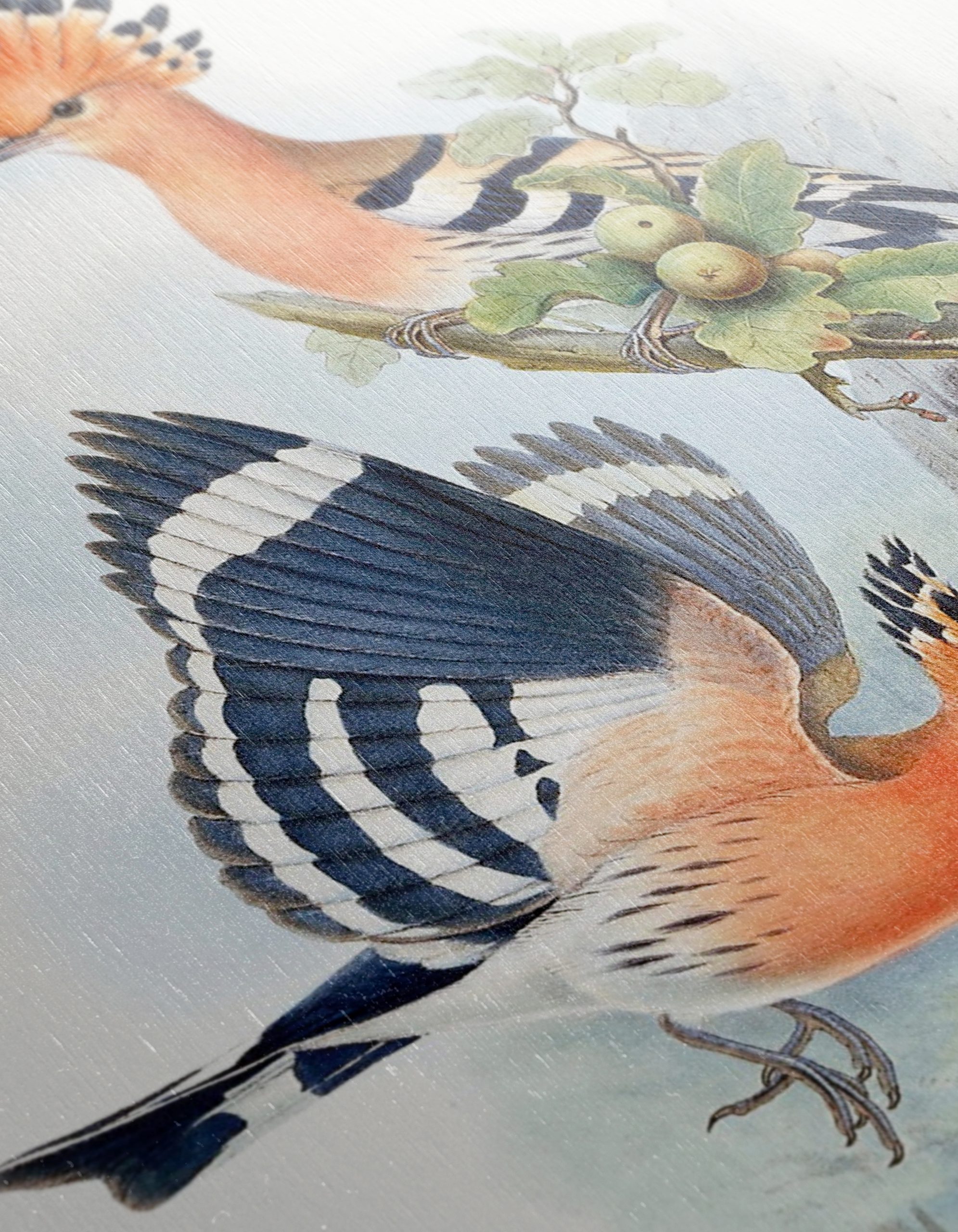 Colorful Birds in Natural Habitat Artwork - Image 12
