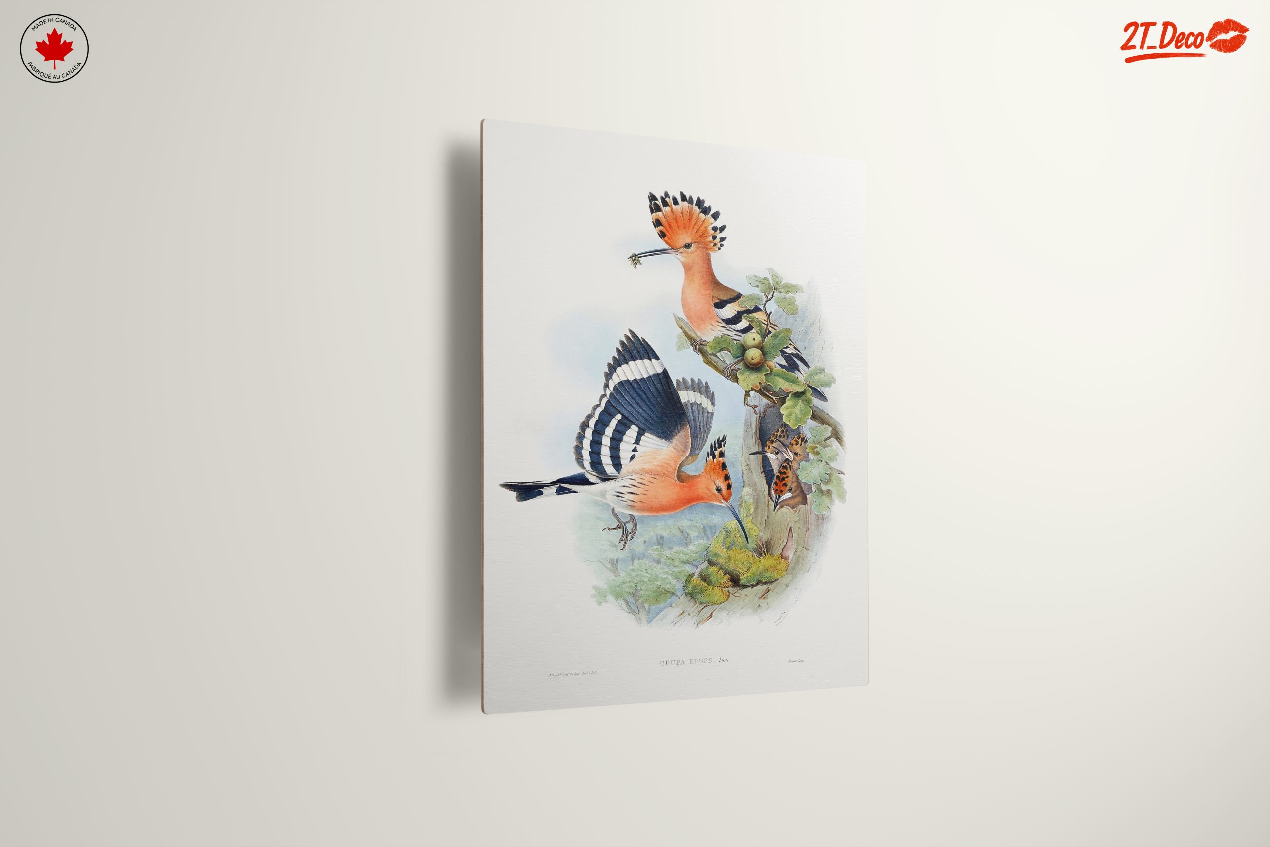 Colorful Birds in Natural Habitat Artwork - Image 13