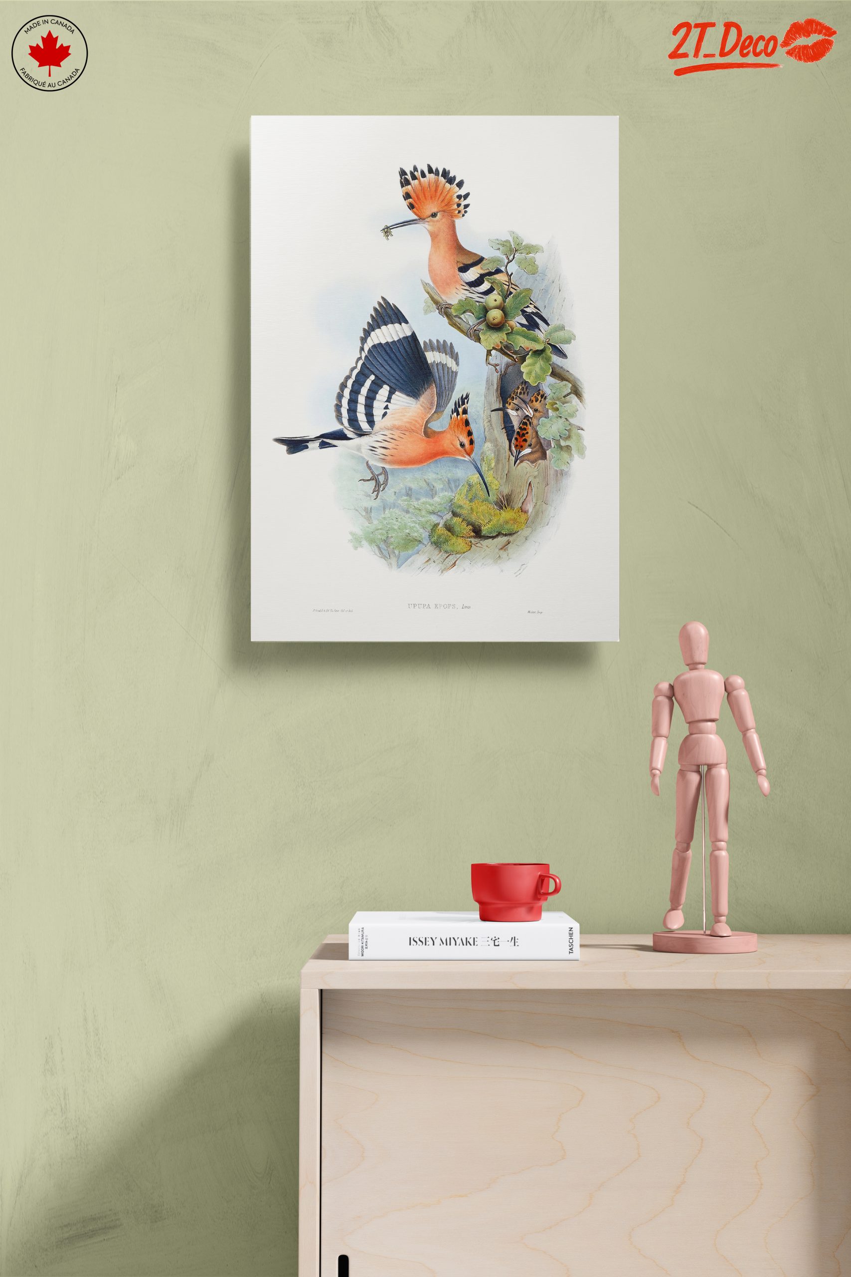 Colorful Birds in Natural Habitat Artwork - Image 14