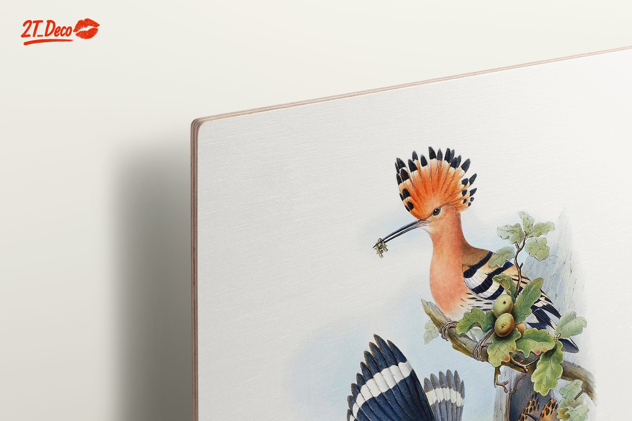 Colorful Birds in Natural Habitat Artwork - Image 15