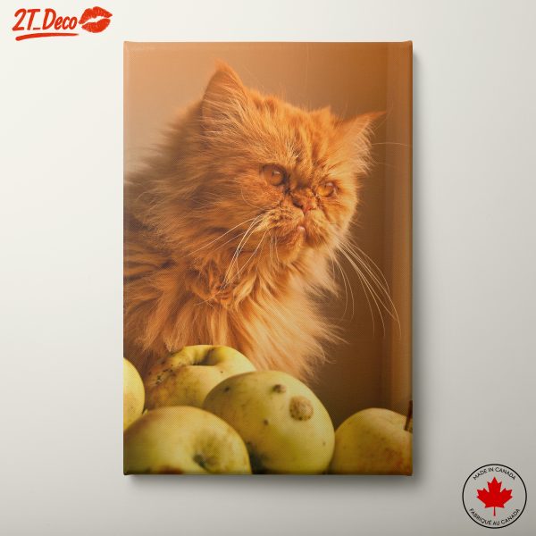 Playful Persian Cat Among Apples
