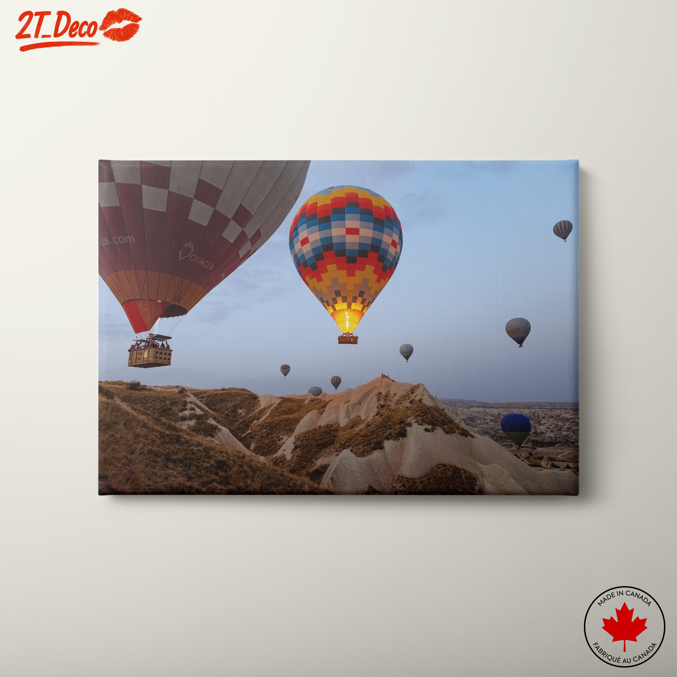 Colorful Hot Air Balloons in Scenic Landscape 2