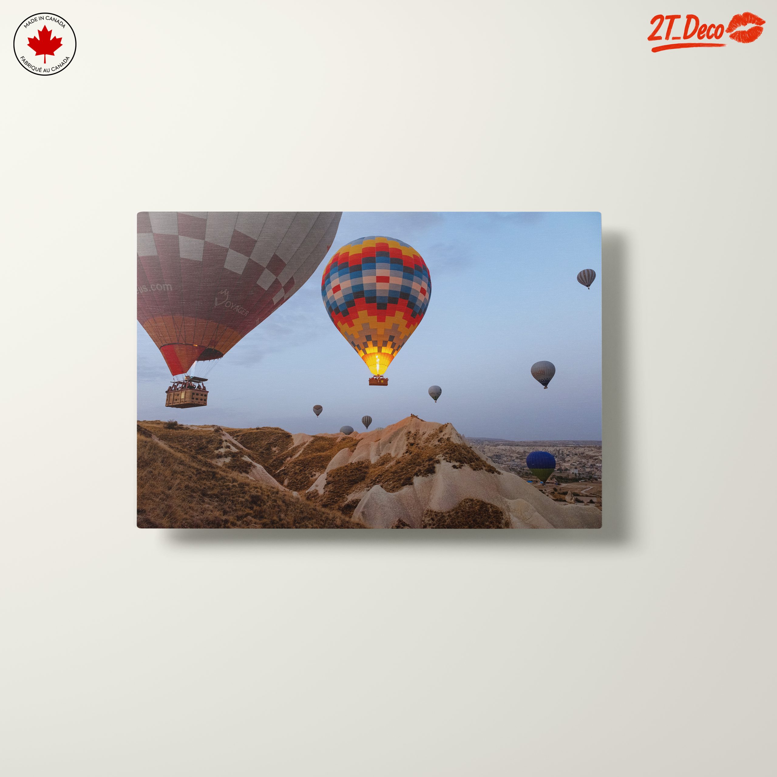 Colorful Hot Air Balloons in Scenic Landscape 2 - Image 10