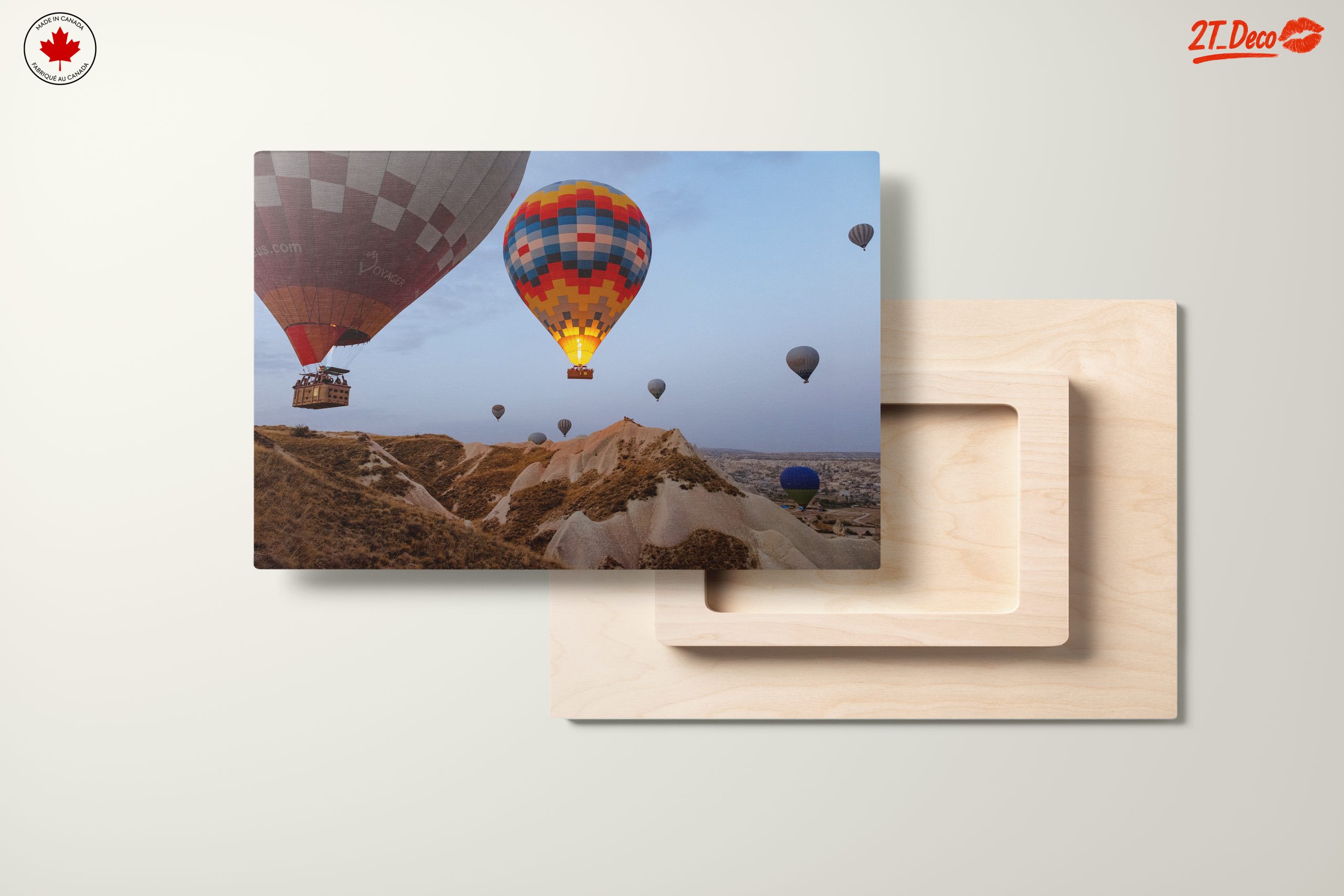 Colorful Hot Air Balloons in Scenic Landscape 2 - Image 11