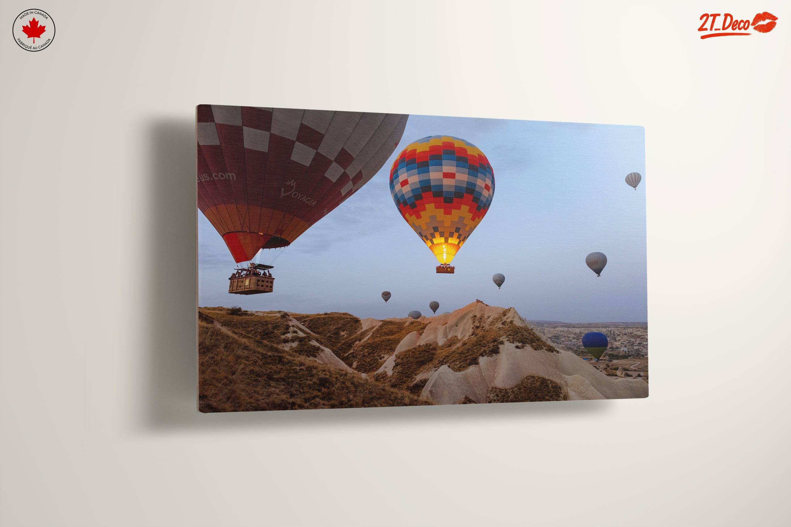 Colorful Hot Air Balloons in Scenic Landscape 2 - Image 13