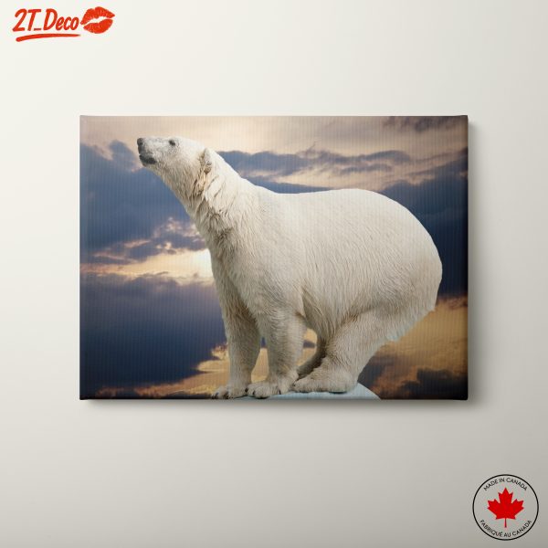 Majestic Polar Bear Against Dramatic Sky