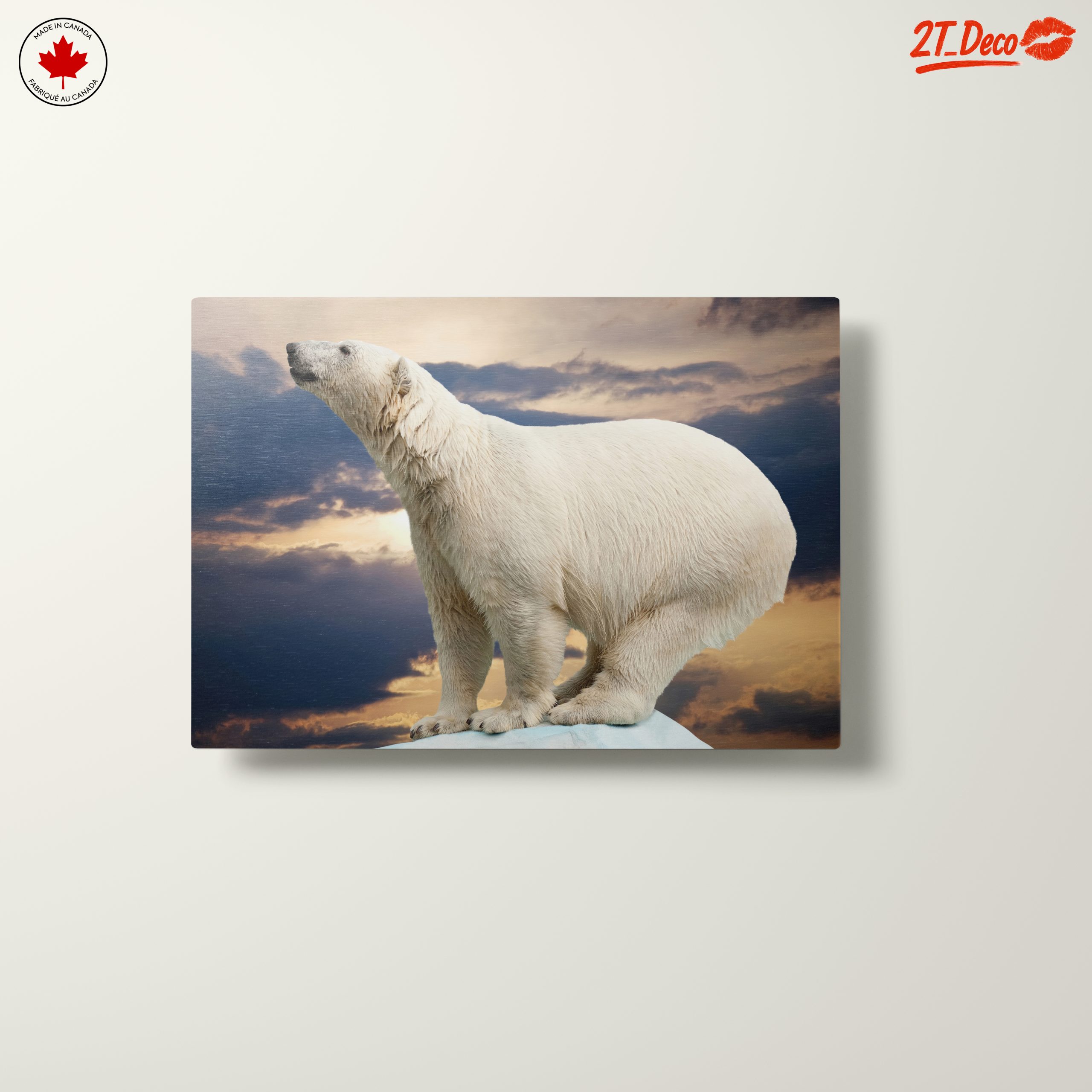 Majestic Polar Bear Against Dramatic Sky - Image 10