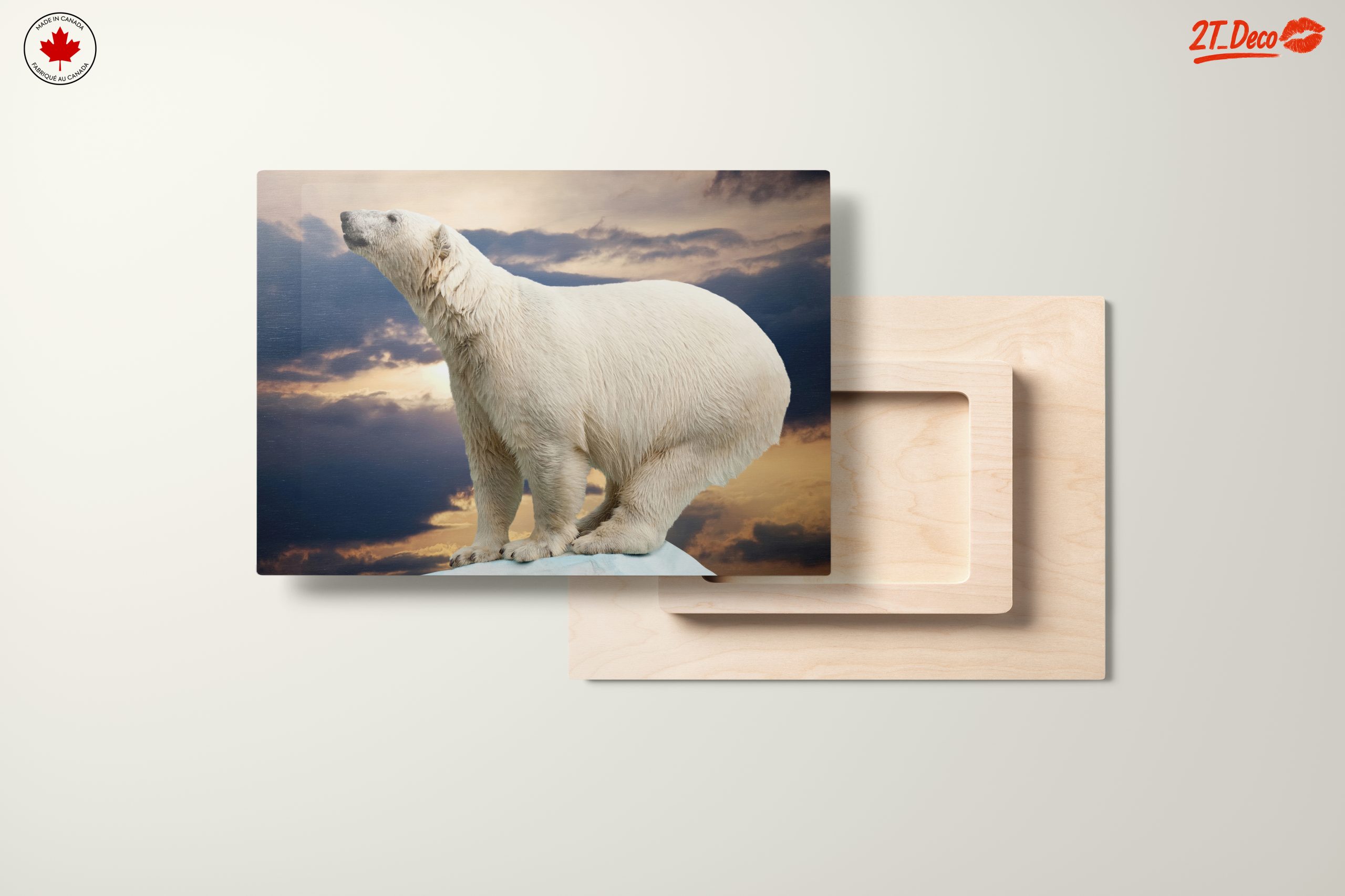 Majestic Polar Bear Against Dramatic Sky - Image 11