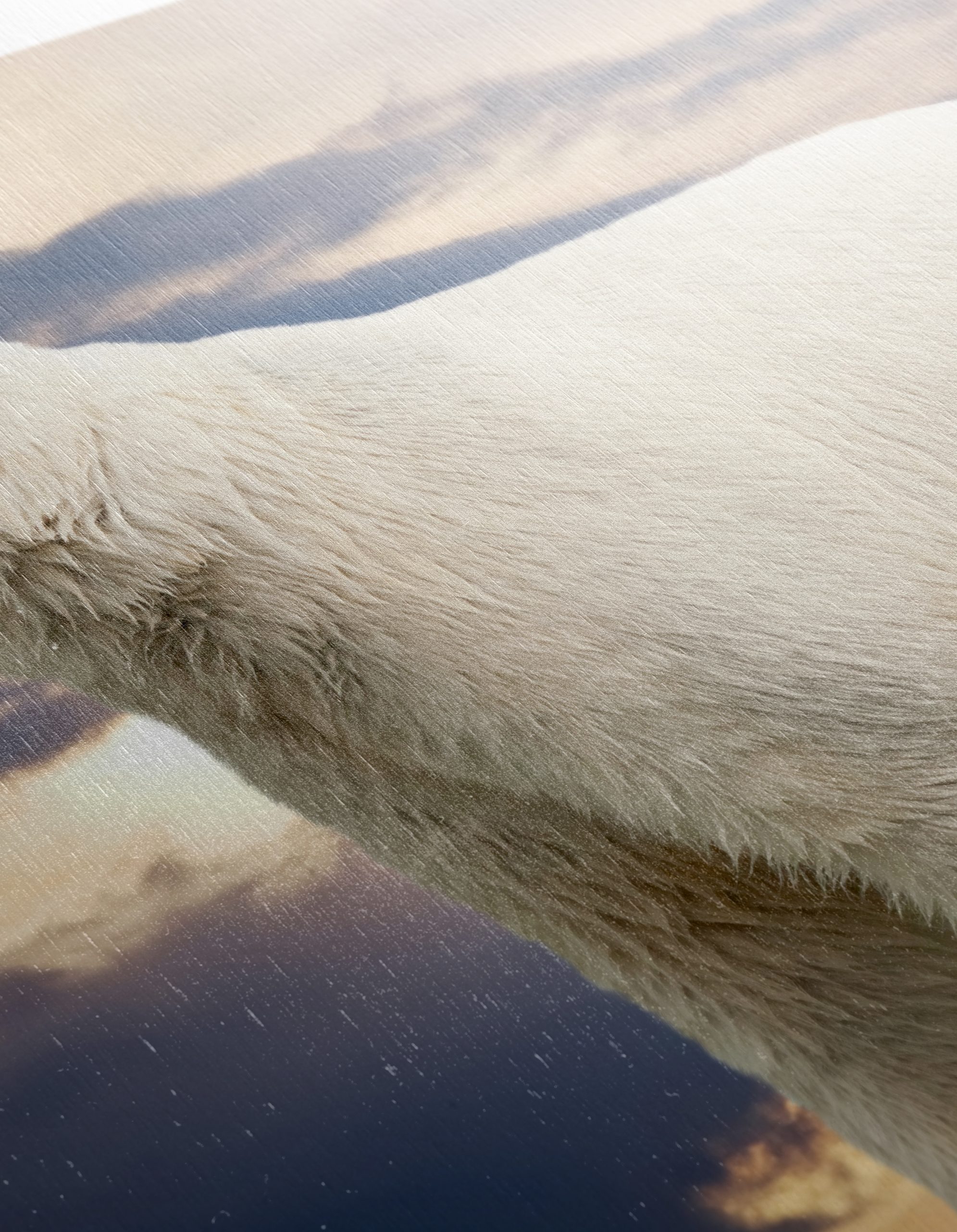 Majestic Polar Bear Against Dramatic Sky - Image 12