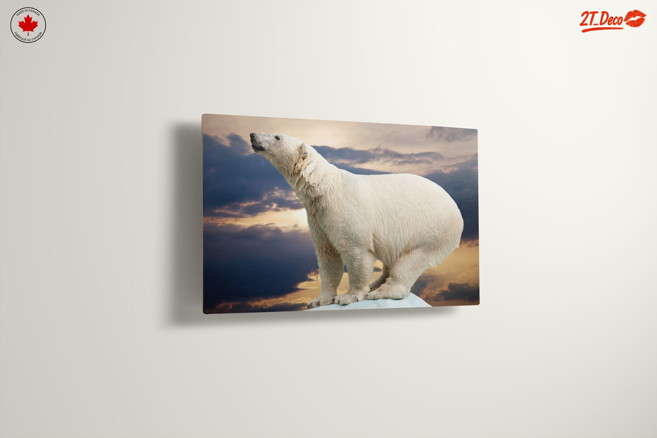 Majestic Polar Bear Against Dramatic Sky - Image 13