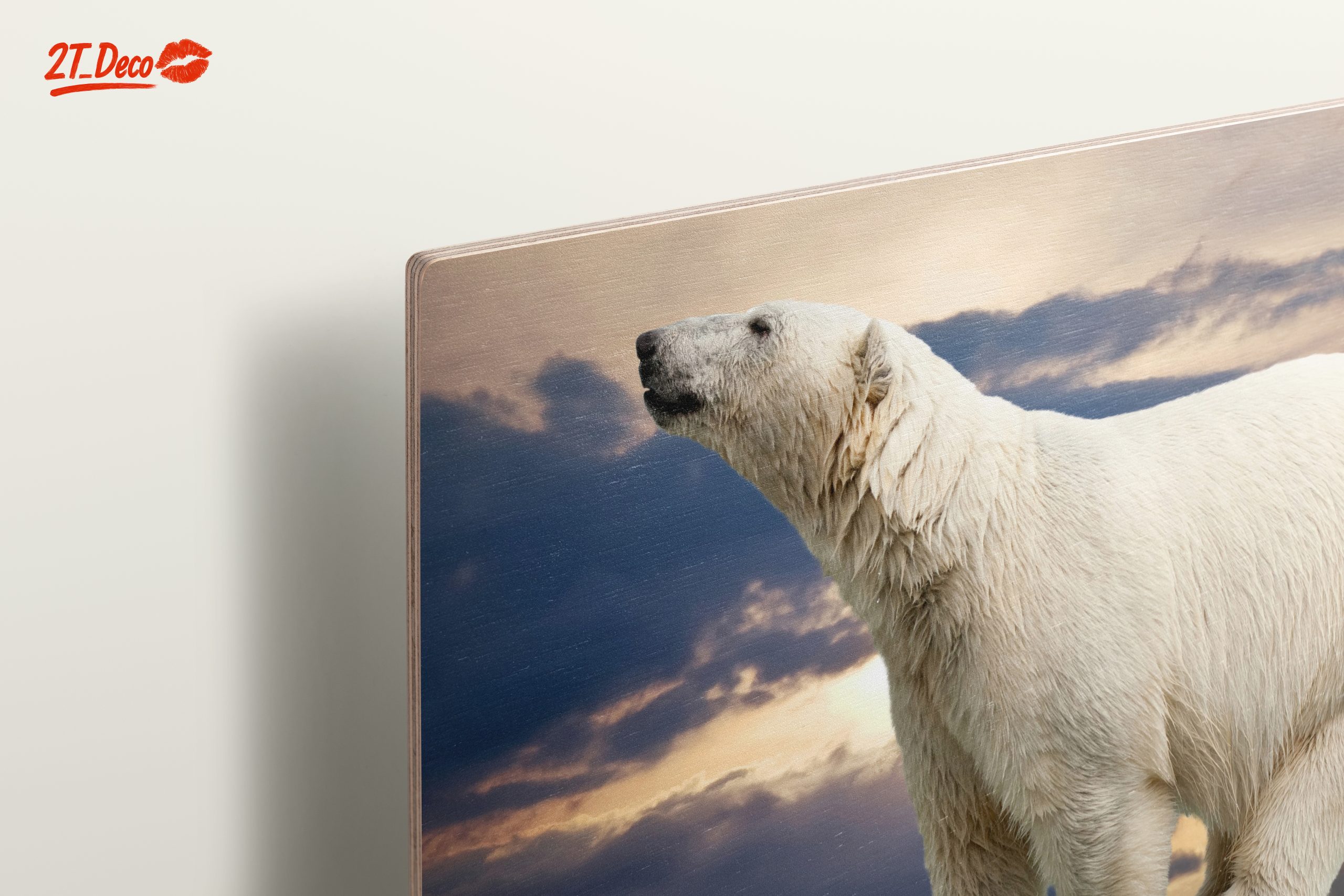 Majestic Polar Bear Against Dramatic Sky - Image 15
