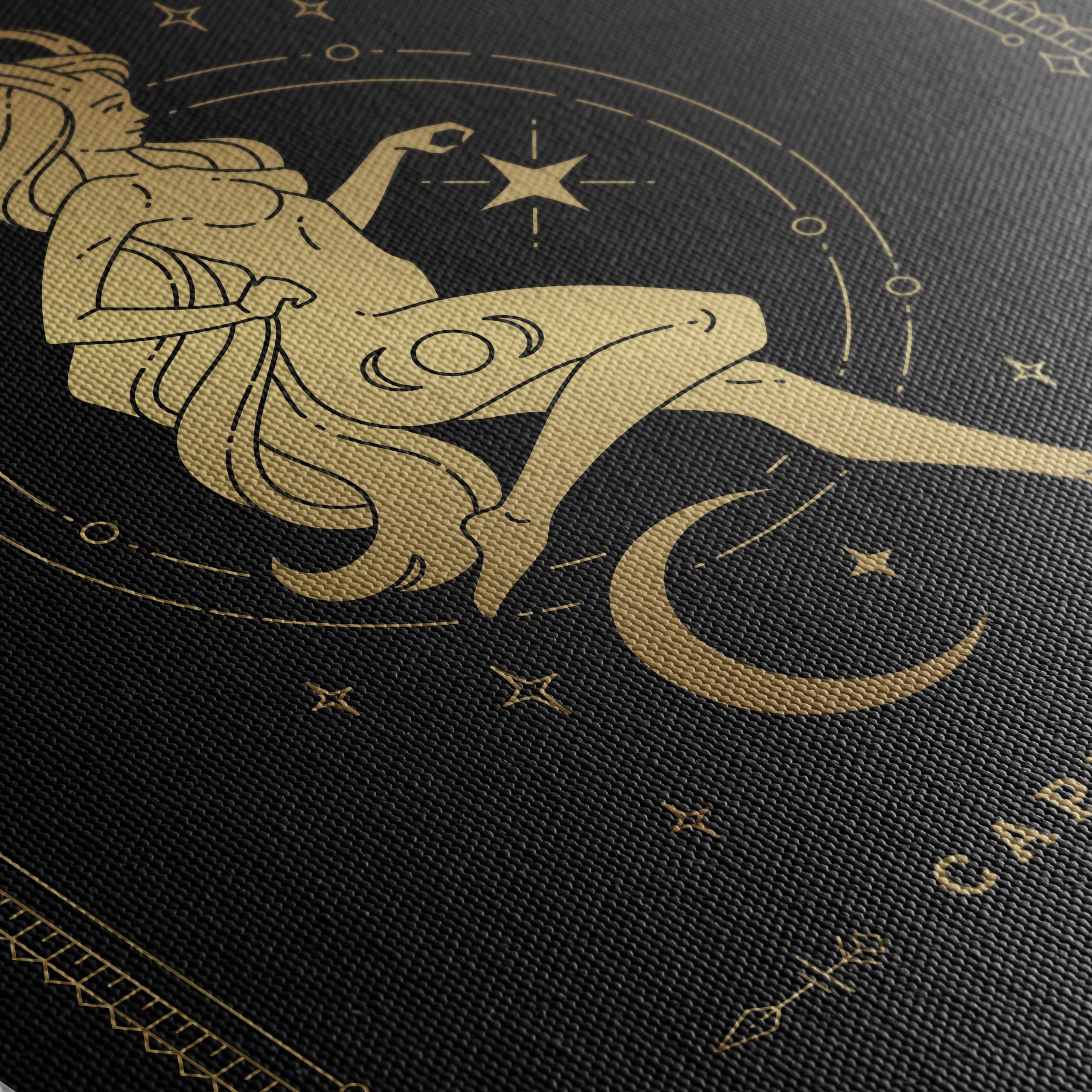 Capricorn Zodiac Art - Image 5