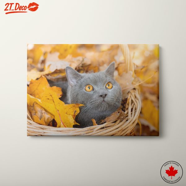 Cat in Autumn Leaves