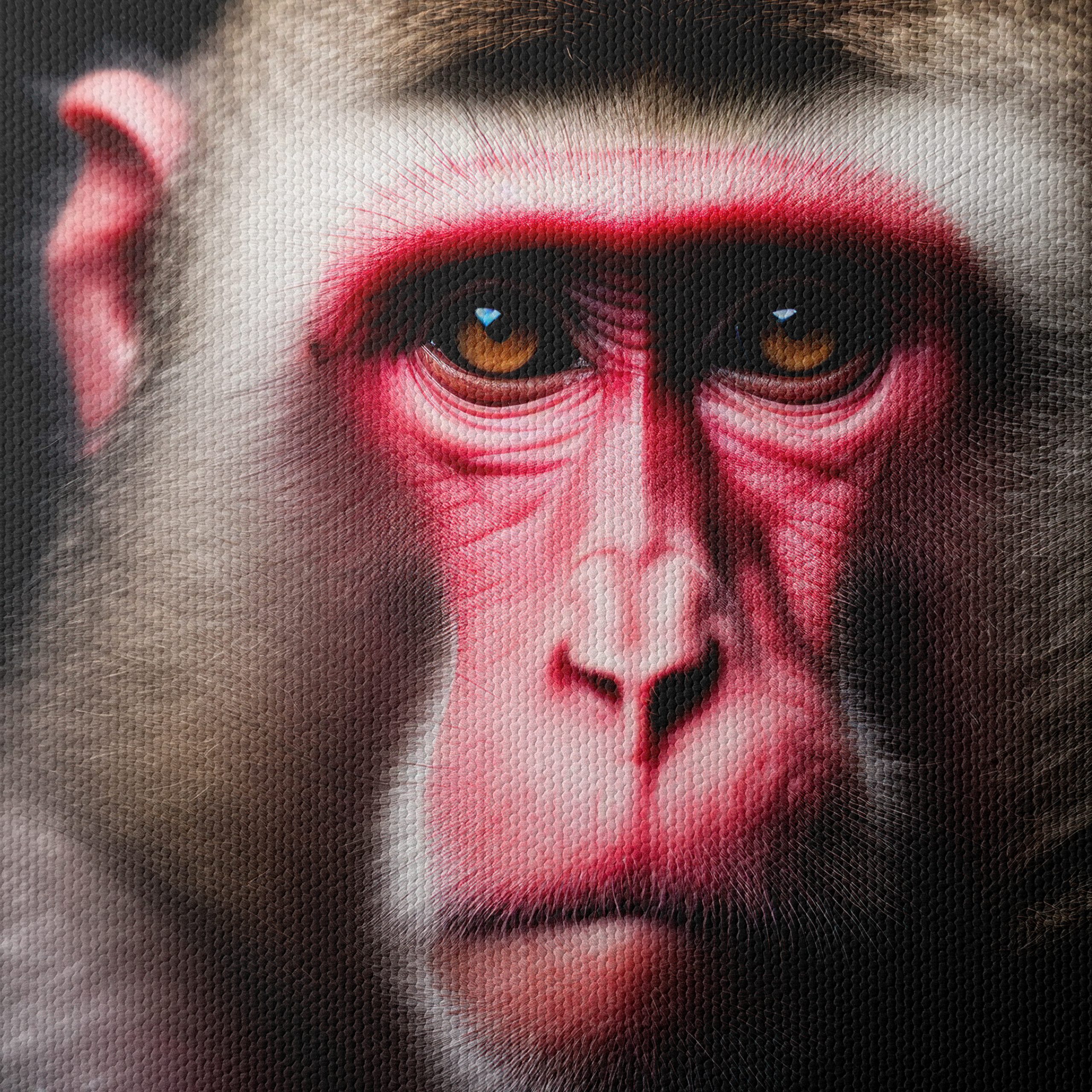 Close-Up Primate Portrait Wall Art - Image 4