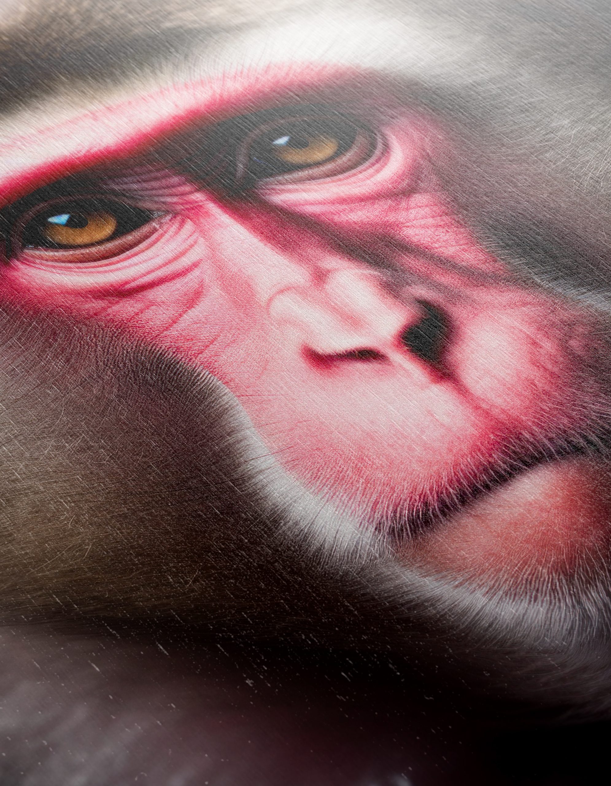 Close-Up Primate Portrait Wall Art - Image 12