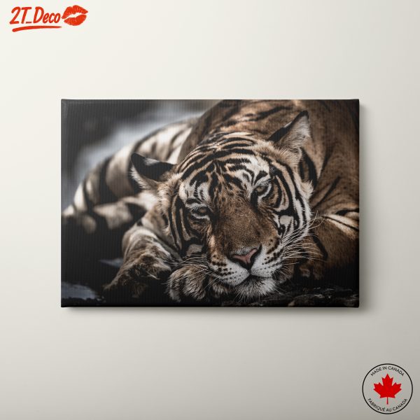Majestic Tiger Portrait