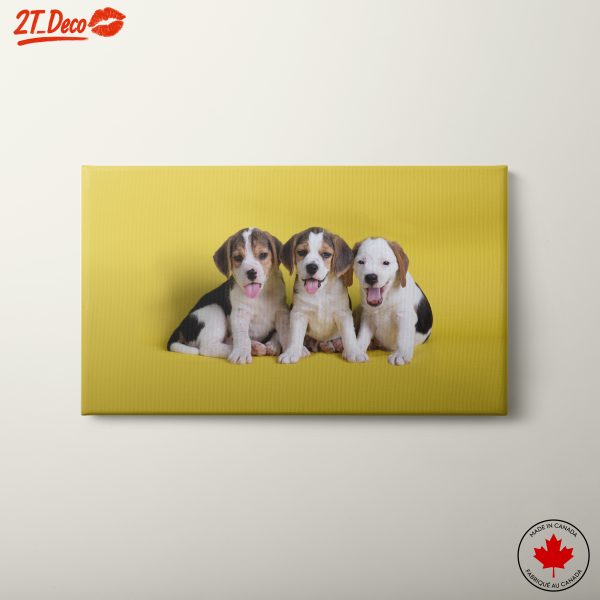 Cute Puppy Trio on Yellow Background
