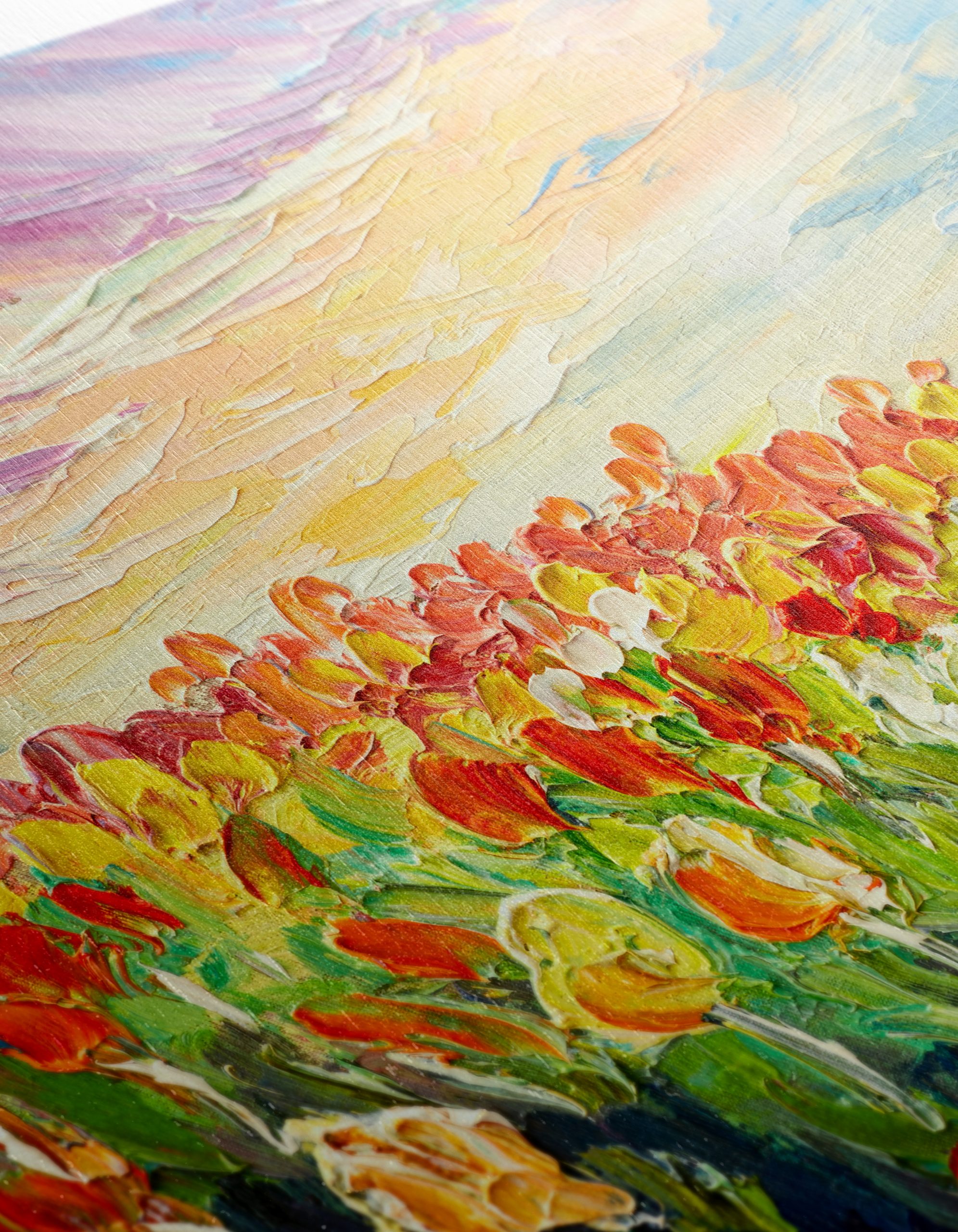 Vibrant Field of Tulips at Sunset - Image 12