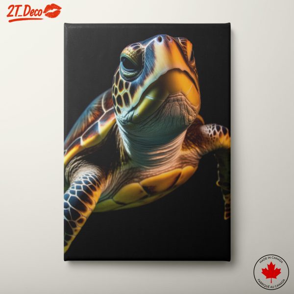 Colorful Aquatic Turtle Wall Art