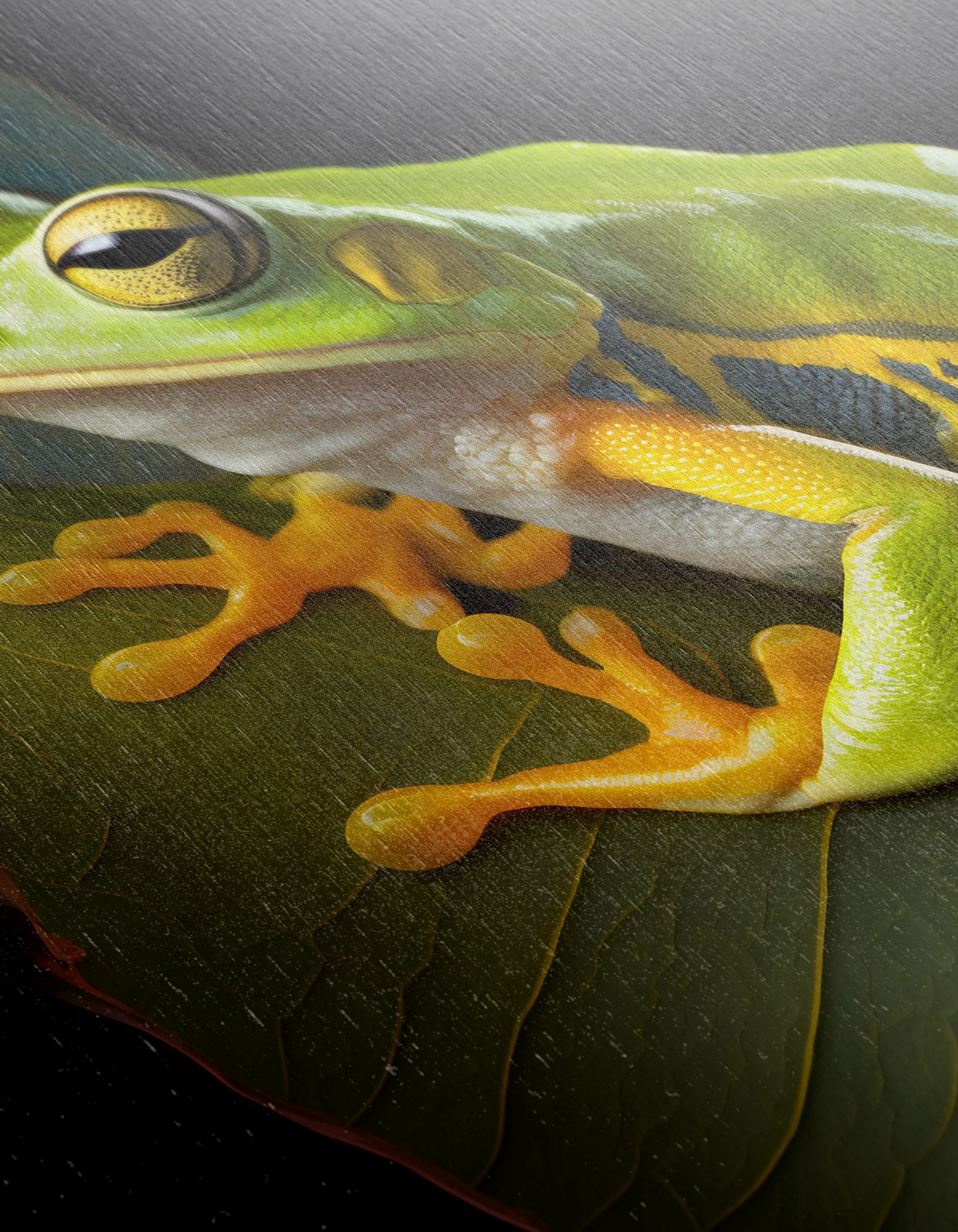 Vibrant Frog on Leaf Wall Art - Image 12