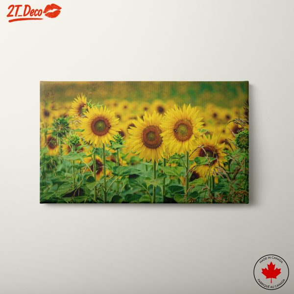Vibrant Sunflower Field Artwork