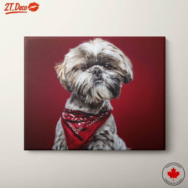 Cute Dog Portrait with Red Background