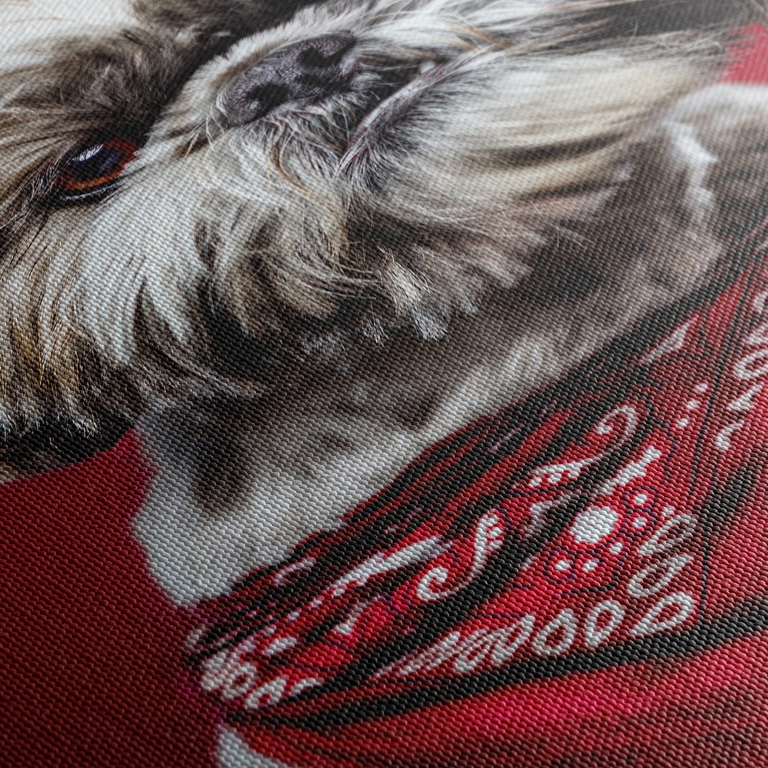 Cute Dog Portrait with Red Background - Image 5