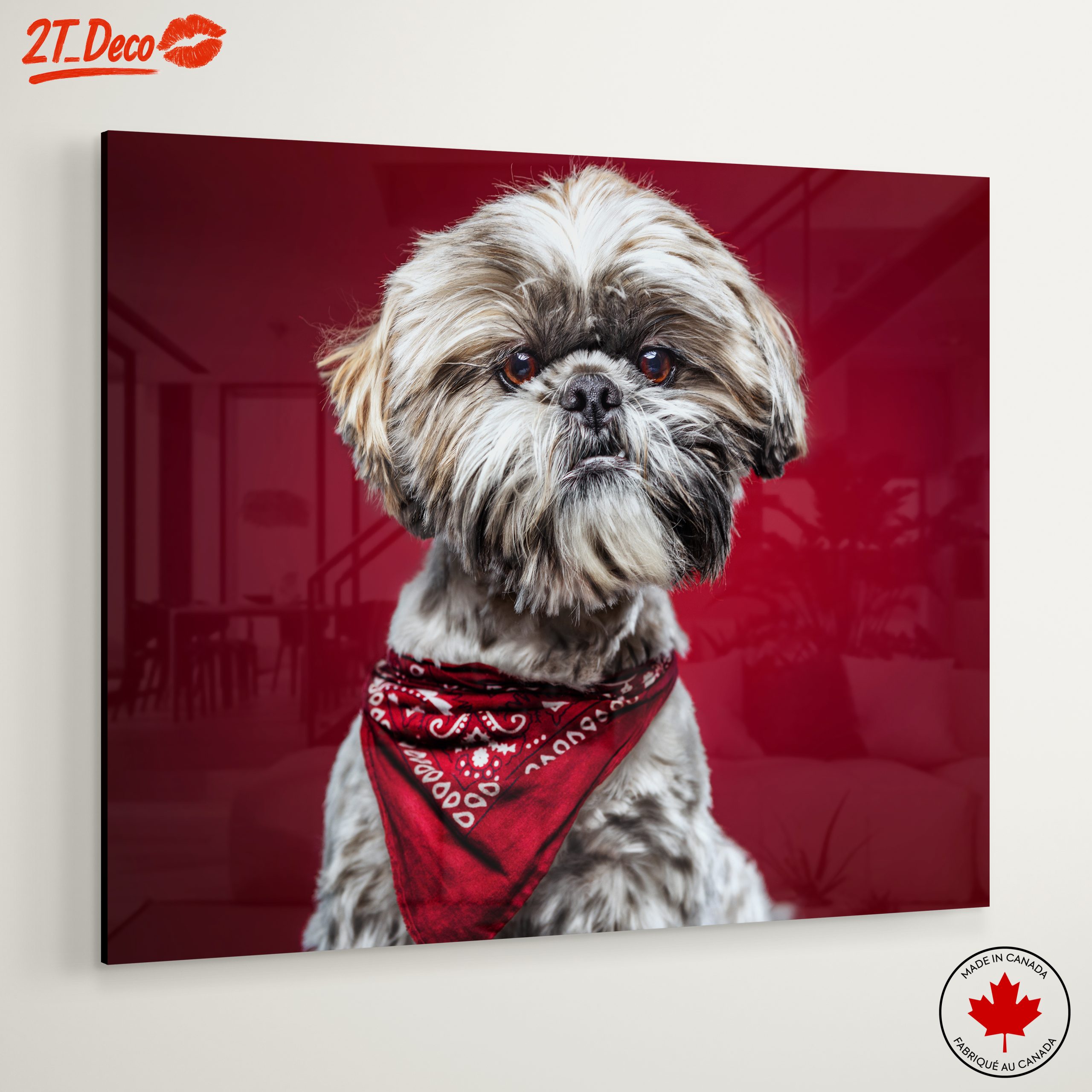 Cute Dog Portrait with Red Background - Image 6