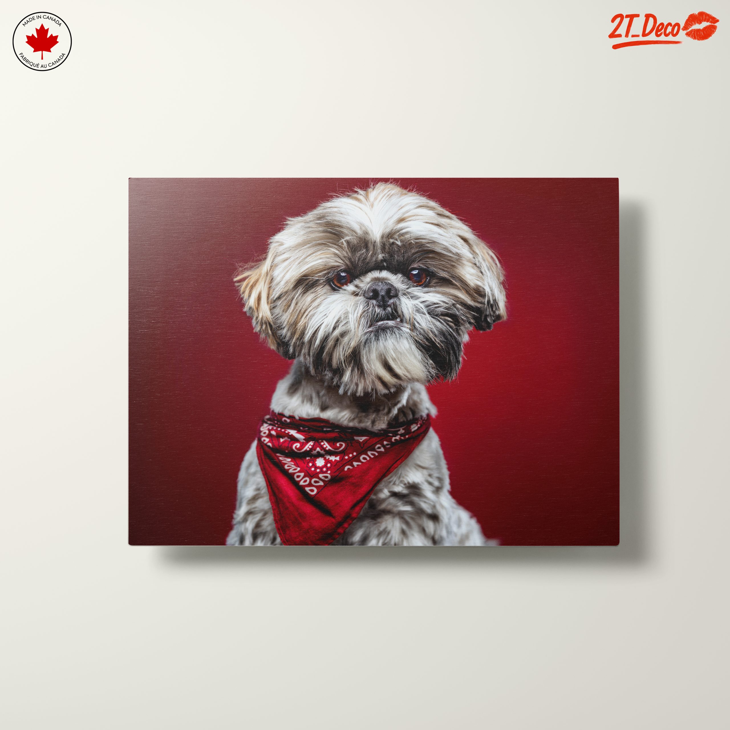 Cute Dog Portrait with Red Background - Image 10