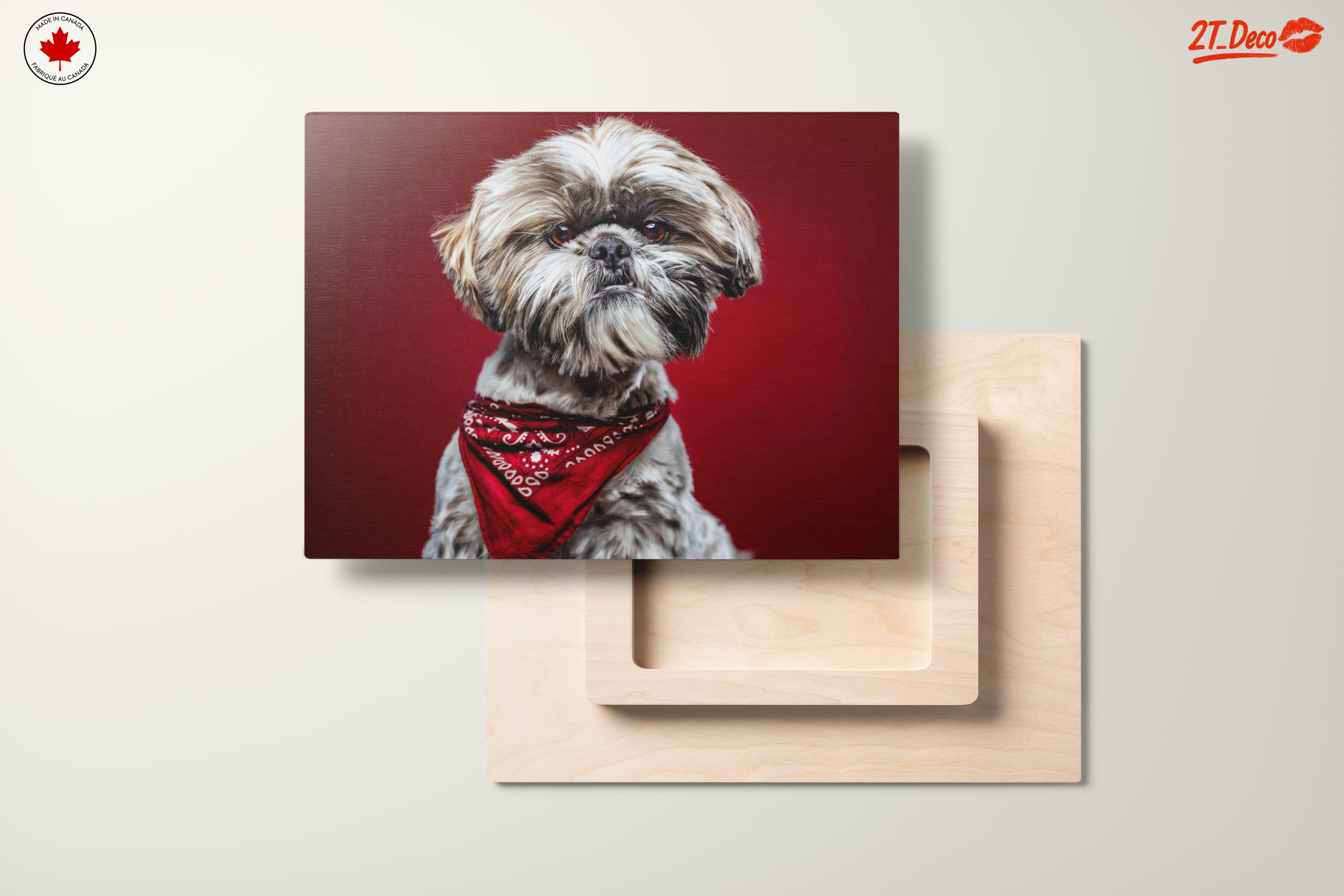 Cute Dog Portrait with Red Background - Image 11