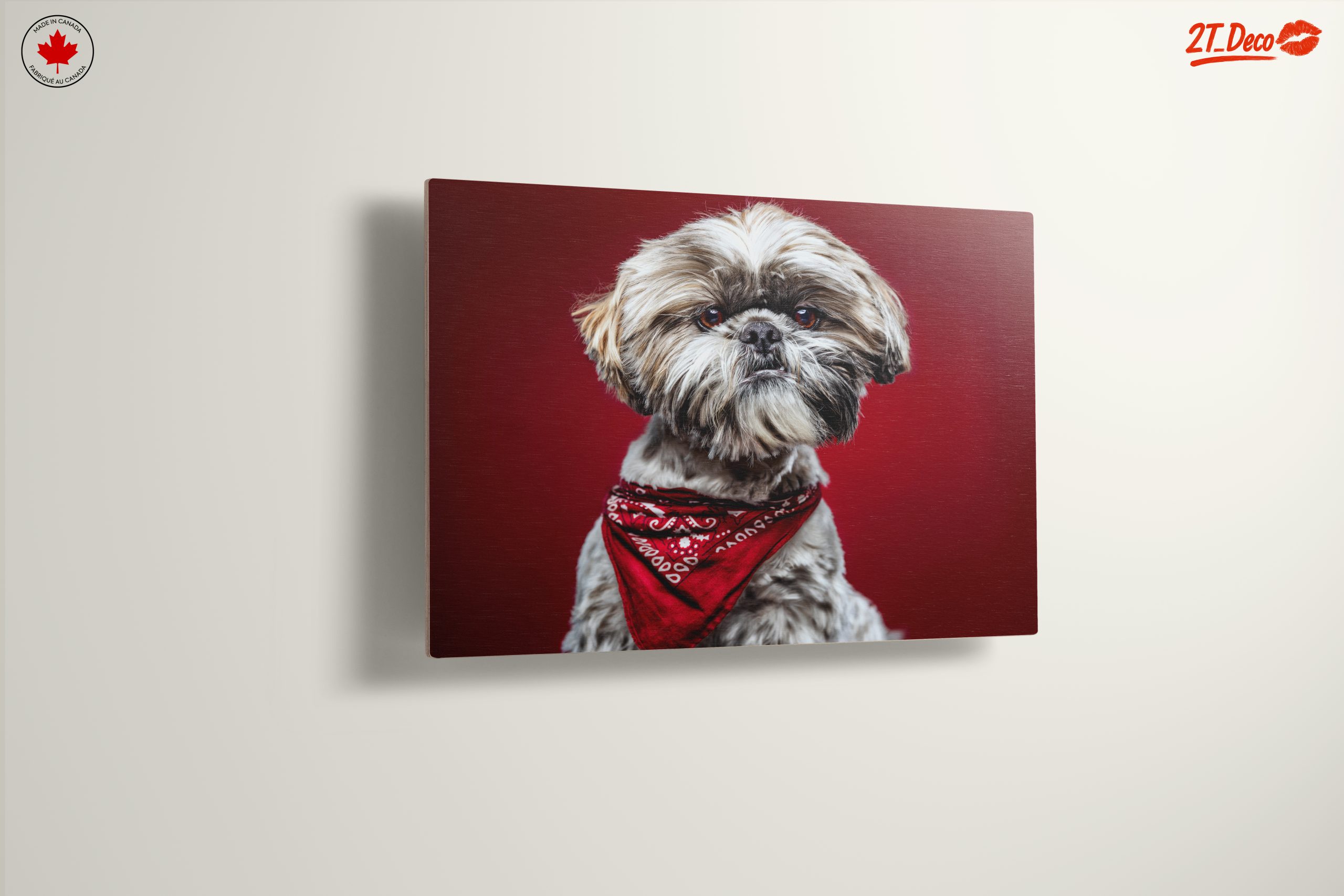 Cute Dog Portrait with Red Background - Image 13
