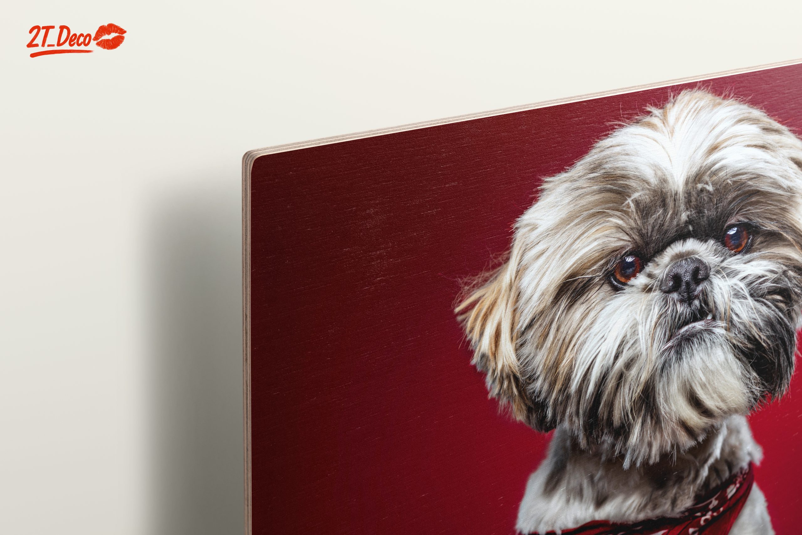 Cute Dog Portrait with Red Background - Image 15