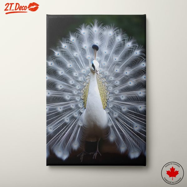 Stunning Peacock Wall Art 2
