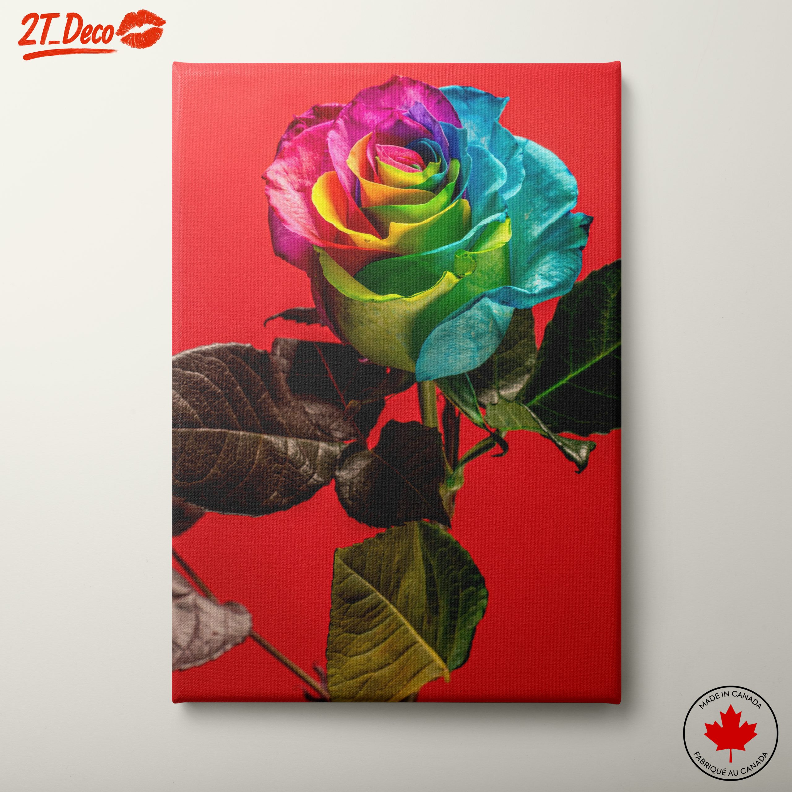 Vibrant Rainbow Rose on Bold Red Background