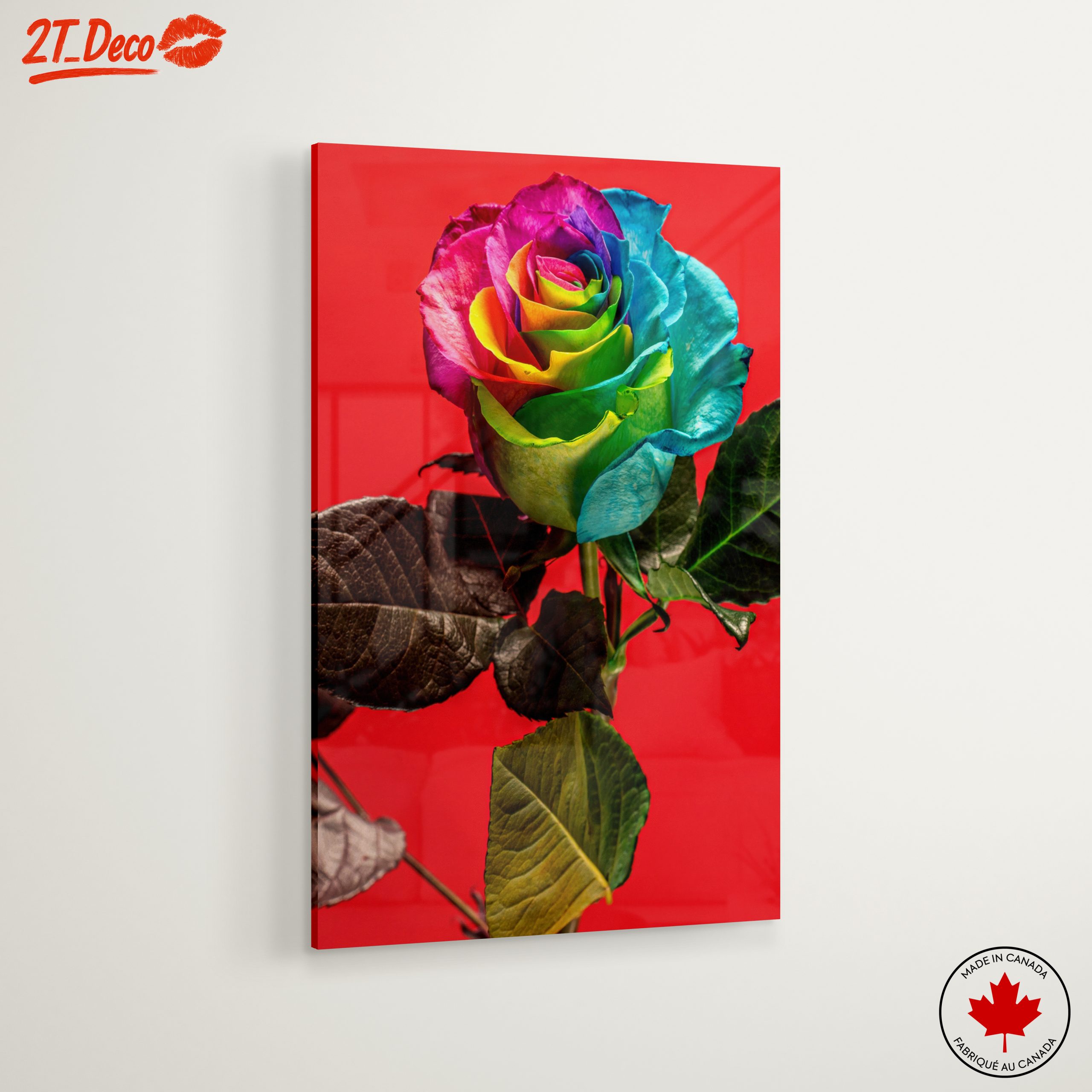 Vibrant Rainbow Rose on Bold Red Background - Image 6