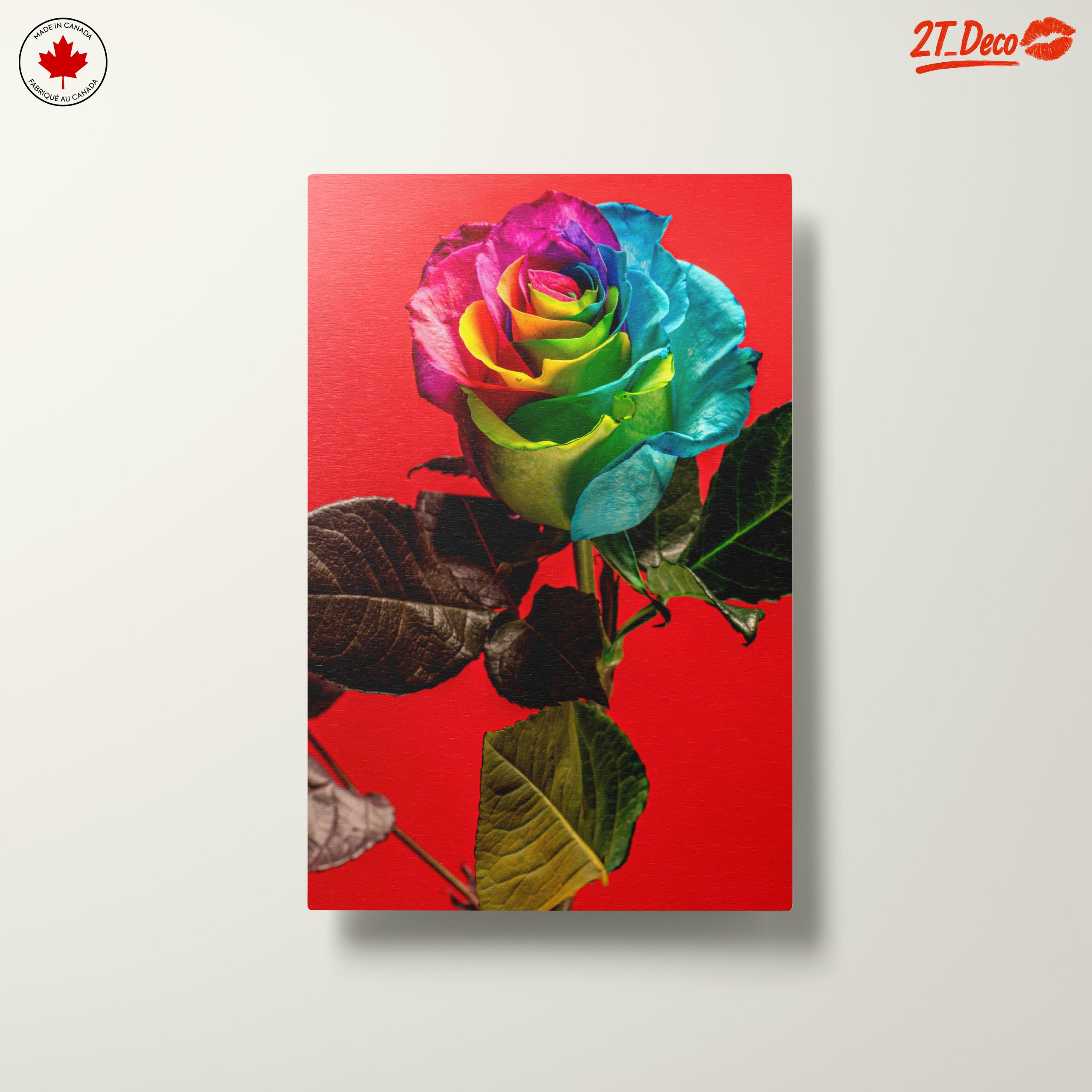 Vibrant Rainbow Rose on Bold Red Background - Image 10