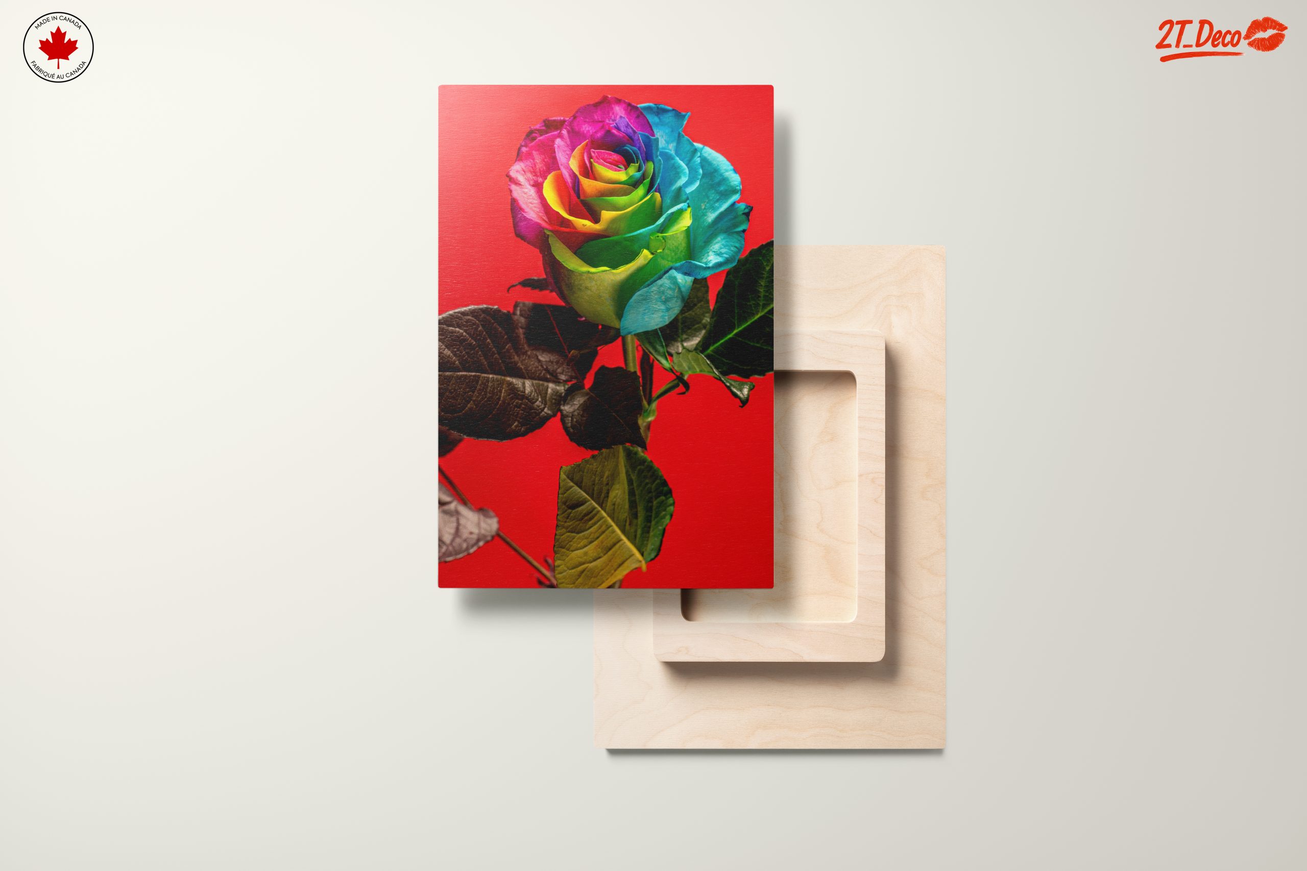Vibrant Rainbow Rose on Bold Red Background - Image 11
