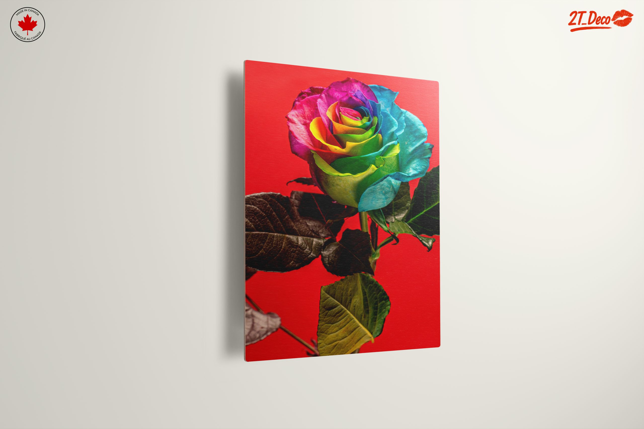 Vibrant Rainbow Rose on Bold Red Background - Image 13