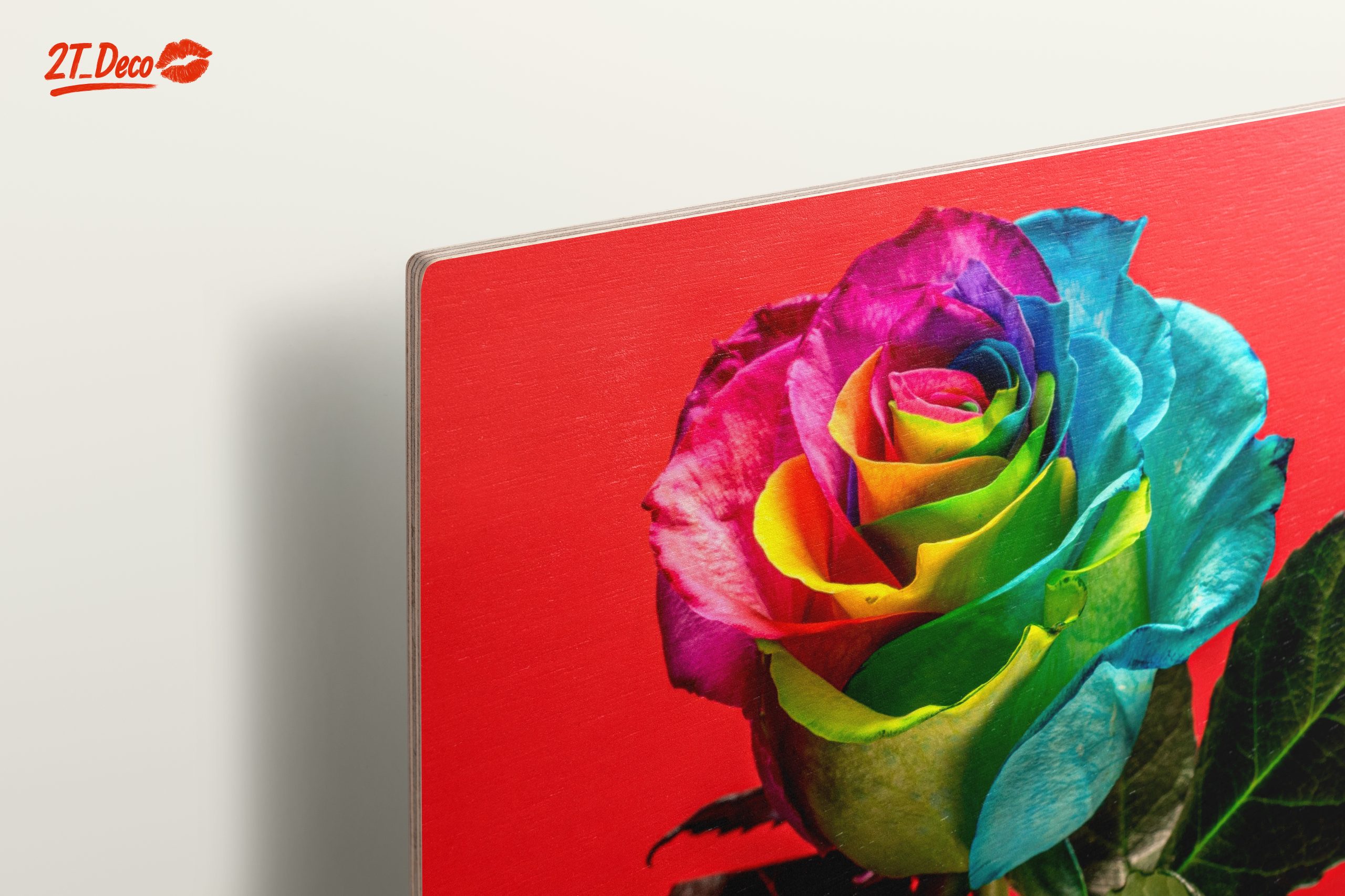 Vibrant Rainbow Rose on Bold Red Background - Image 15