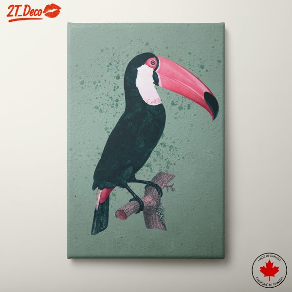 Colorful Toucan Bird Art